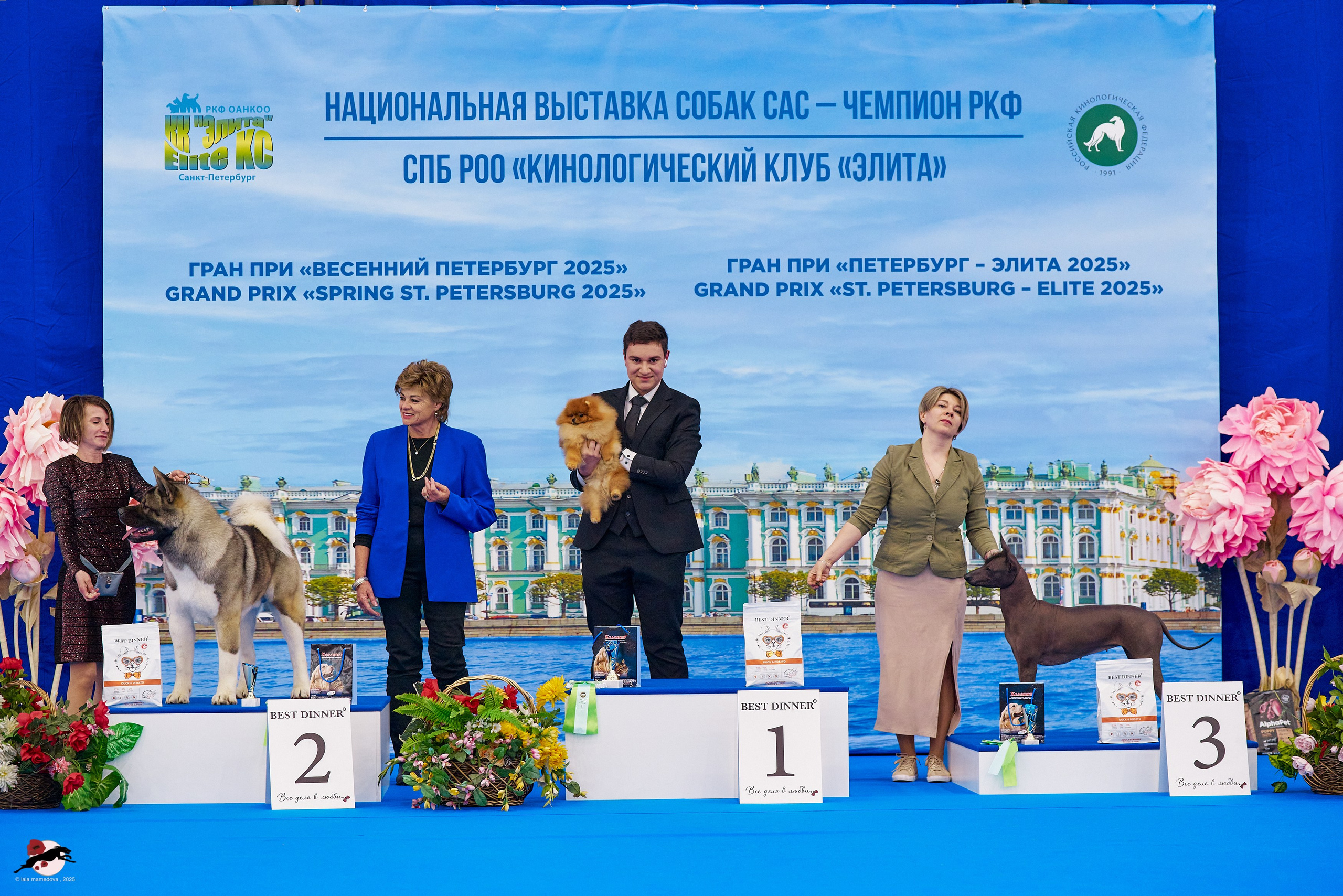 ГРАН ПРИ «ВЕСЕННИЙ ПЕТЕРБУРГ» & «СУПЕР КУБОК «ЭЛИТЫ»-2025»