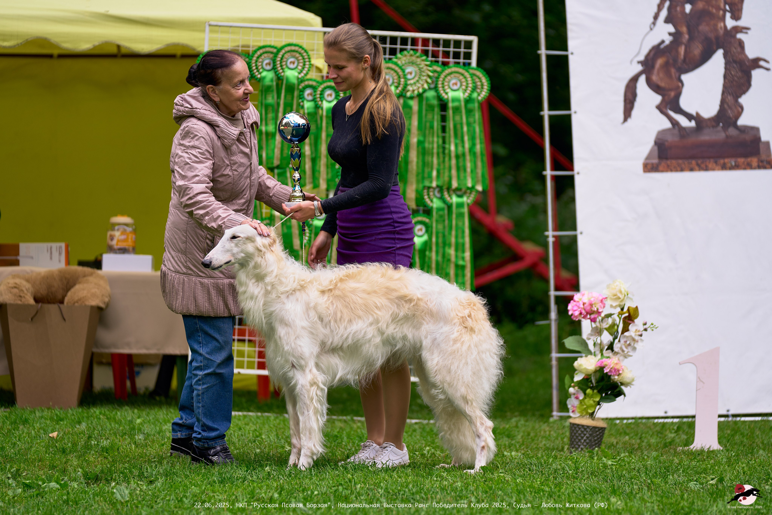 22.06.2025 | Национальная Выставка НКП "Русская Псовая Борзая"