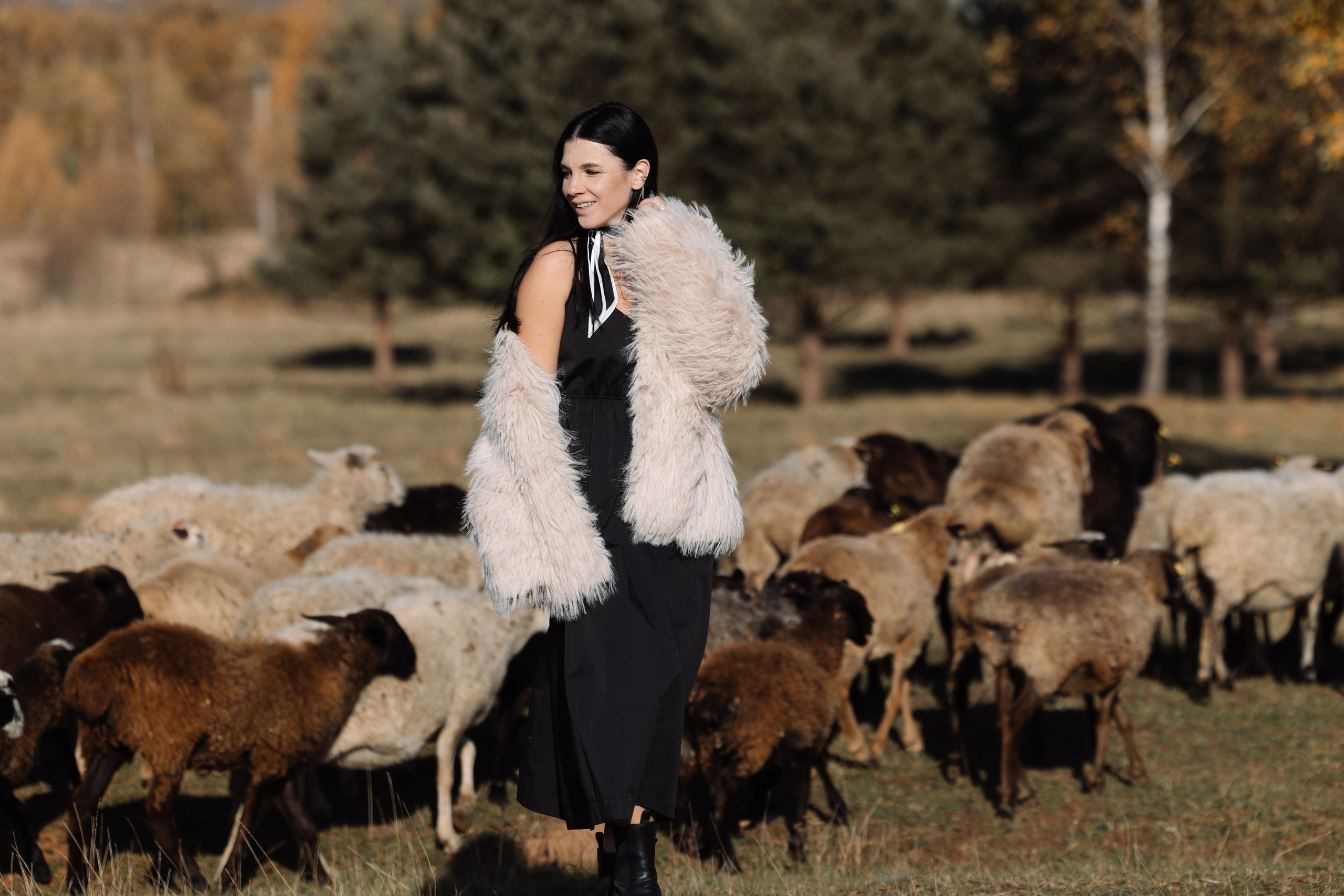 Охота на овец