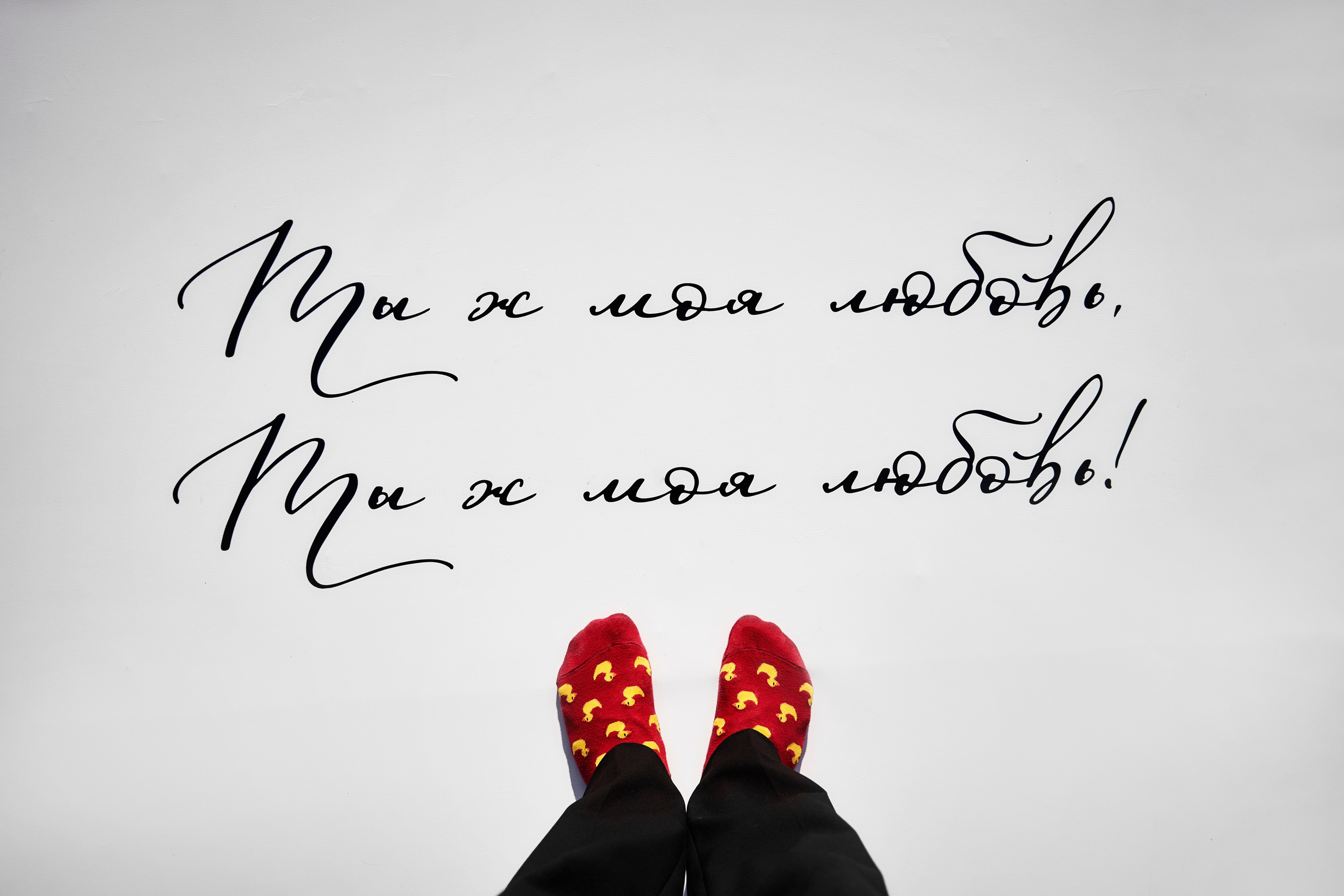 YOU ARE MY PARADISE. ТВИНС СТУДИО — лучшие свадебные фотографы и видеографы в Краснодаре