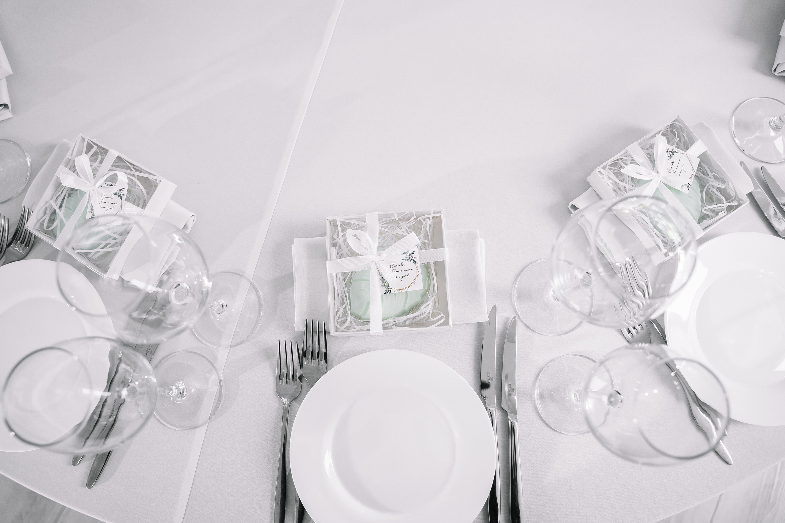 Стендап будет продолжаться!. Свадебный Фотограф Минск || Фото и Видеосъёмка Минск || Другие города