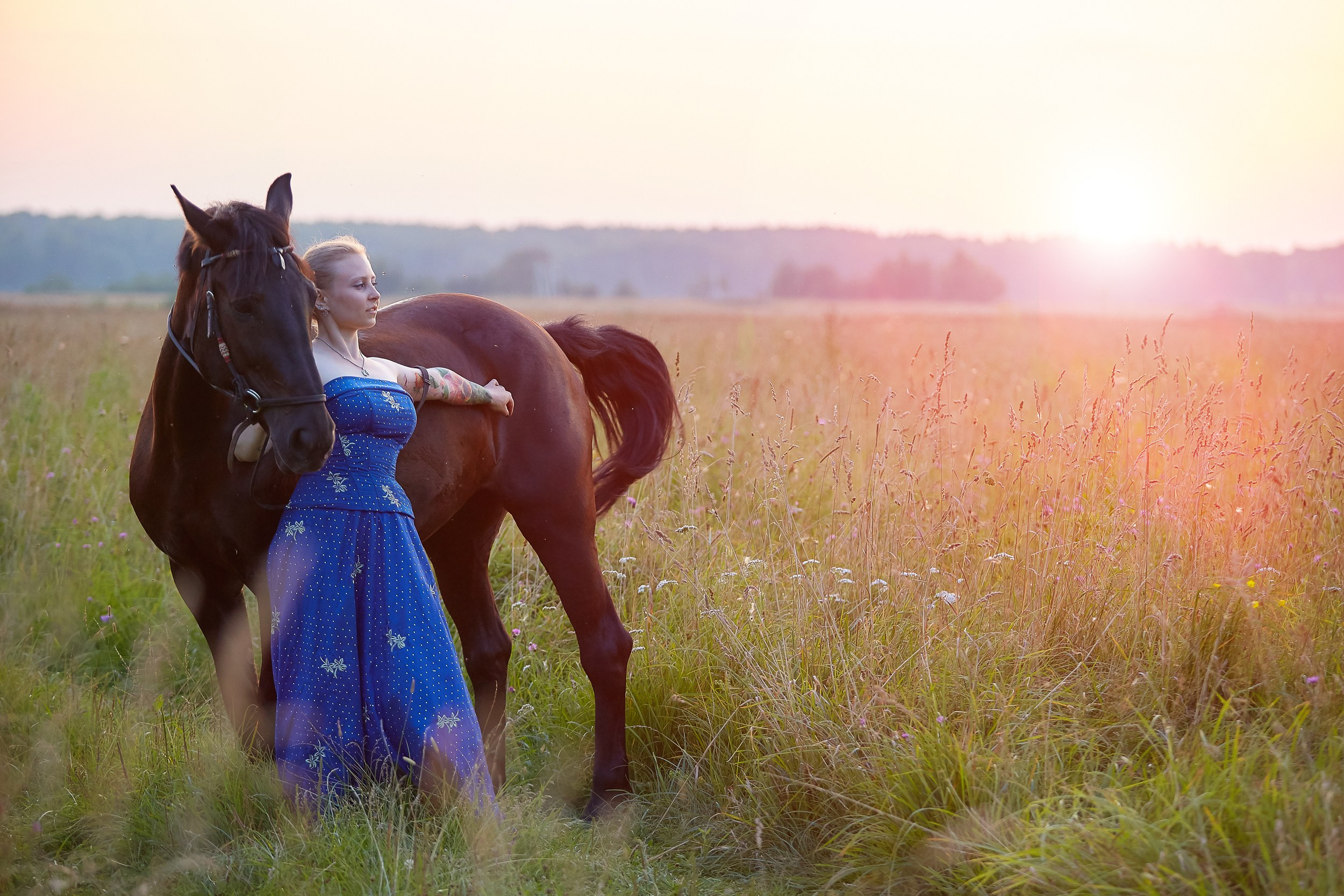 Фотосессия с лошадьми Фотограф Михаил Семенов, г. Ярославль