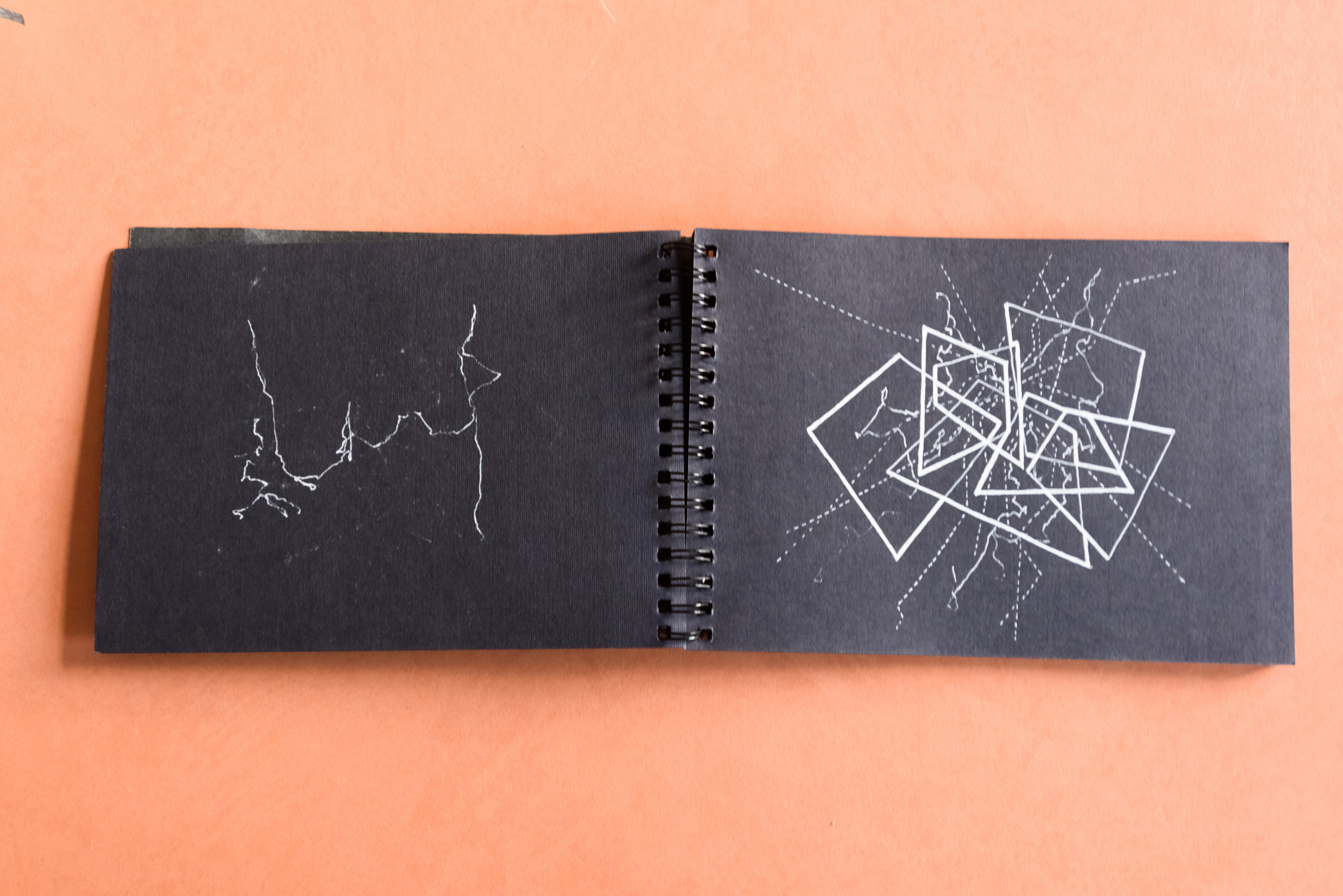 PSYCHO. Ilmira Bolotyan — Interdisciplinary Artist and Curator