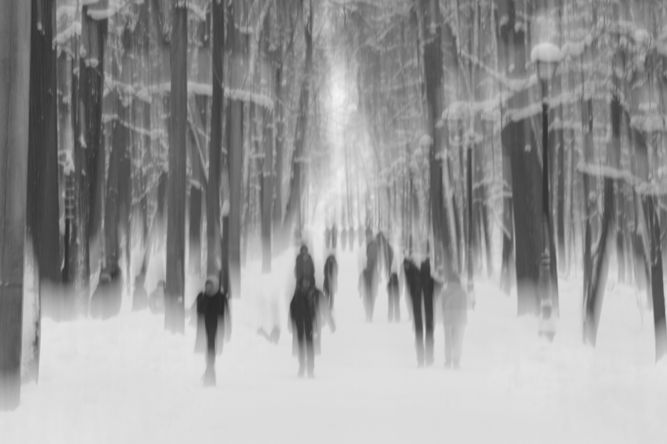 ART. Фотограф Алёна Мирзатуллаева