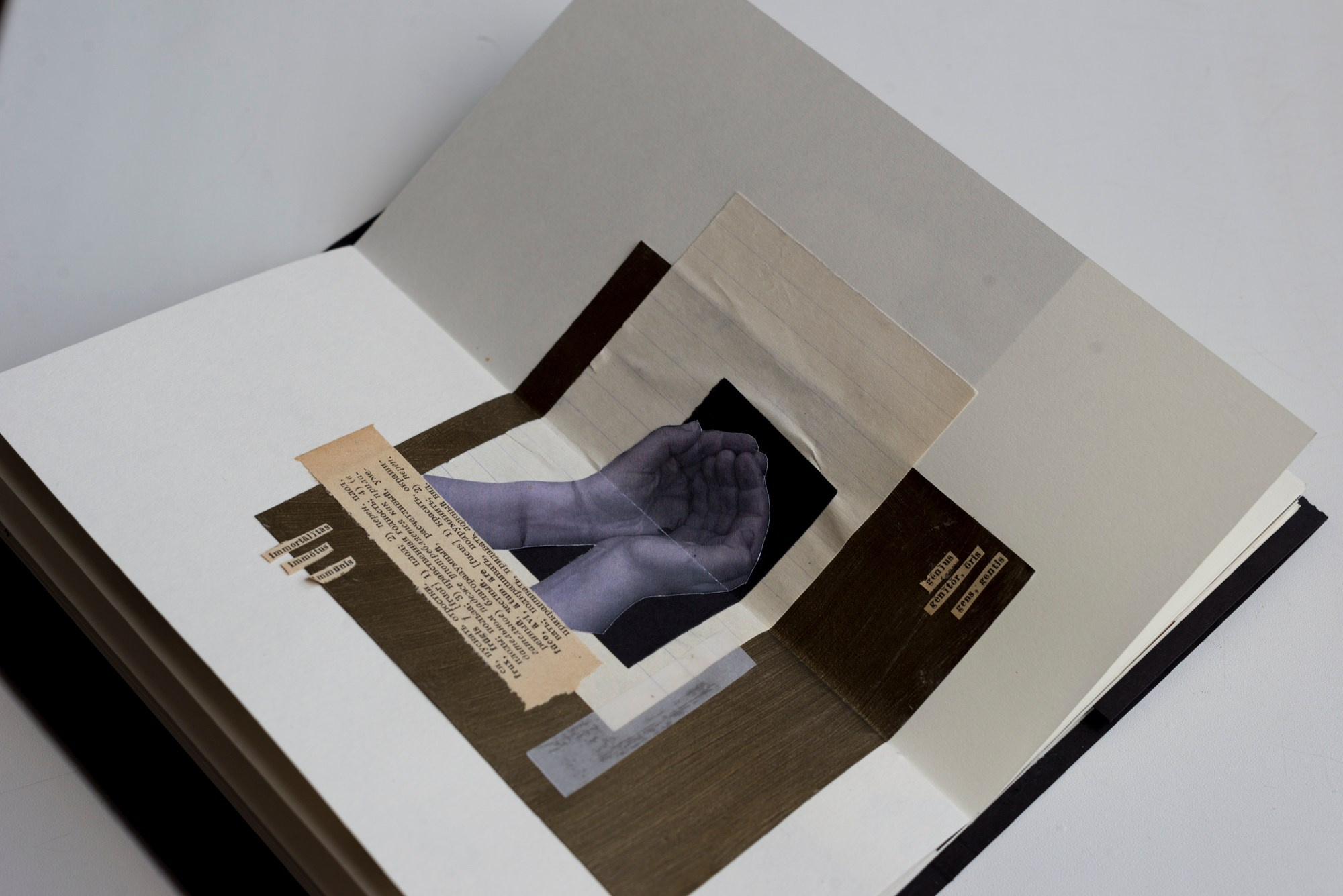 Умри, замри, воскресни!. Main