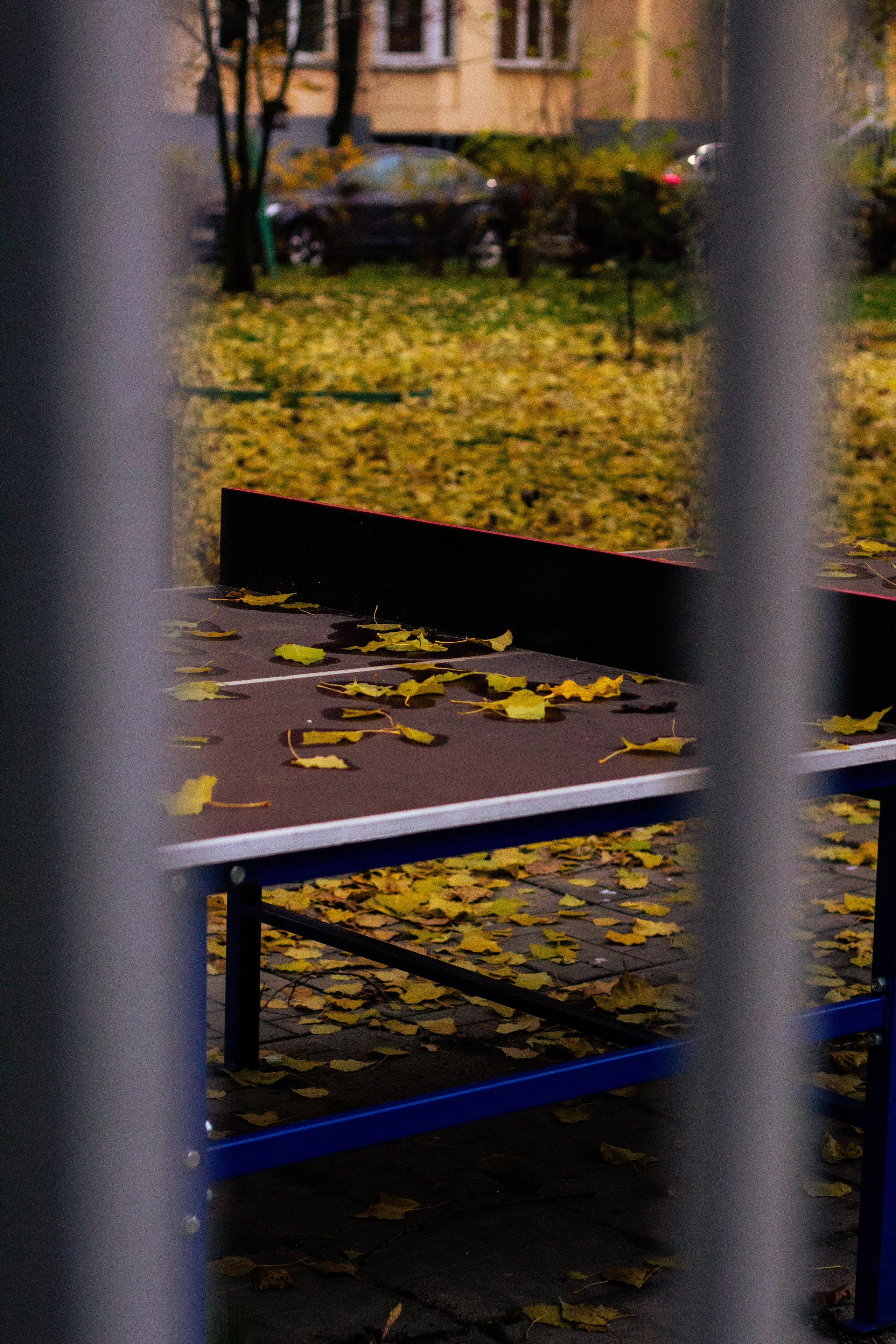 Осень в Москве. Фотограф Москва, портрет, стрит, репортаж. Художественная фотосессия