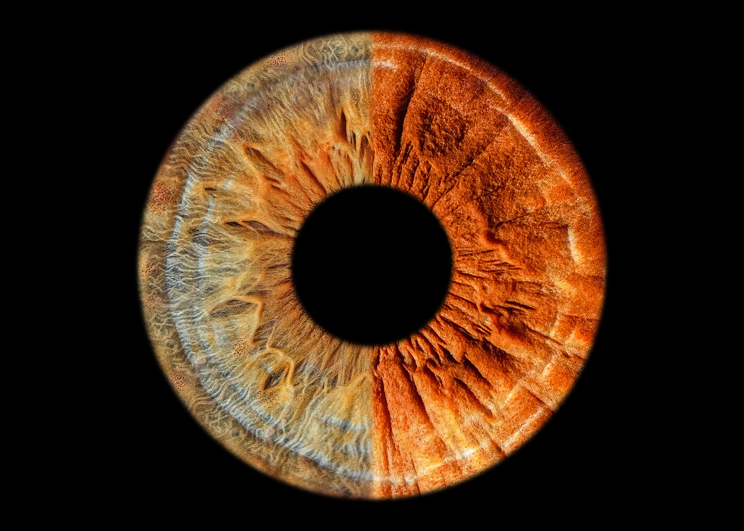 Фото Радужки / Photo of the iris. Фотостудия Eyes Art Studio
