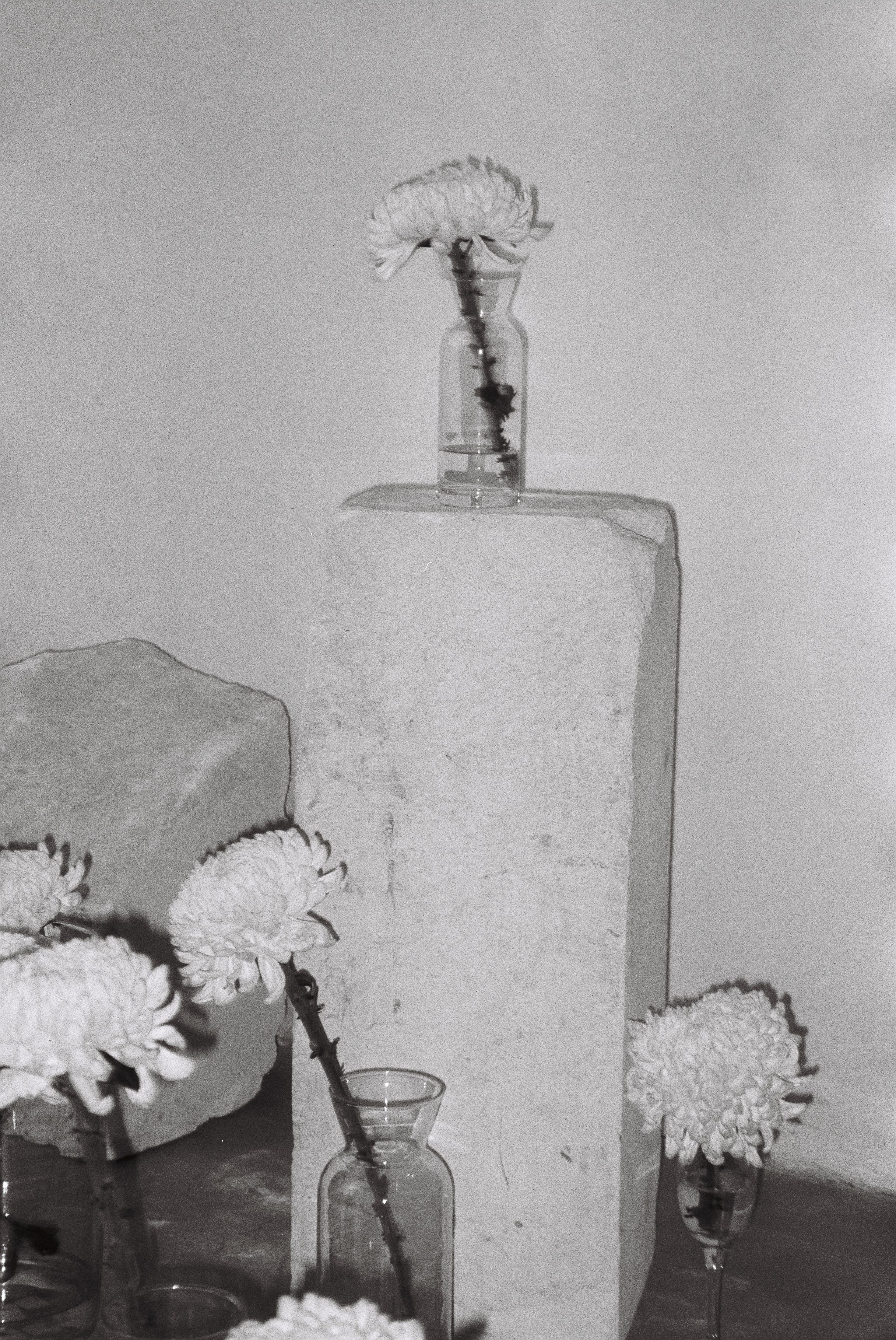 Свадебная фотосессия в студии. Свадебный фотограф в Москве Элина Ларченкова. Фото, которые цепляют