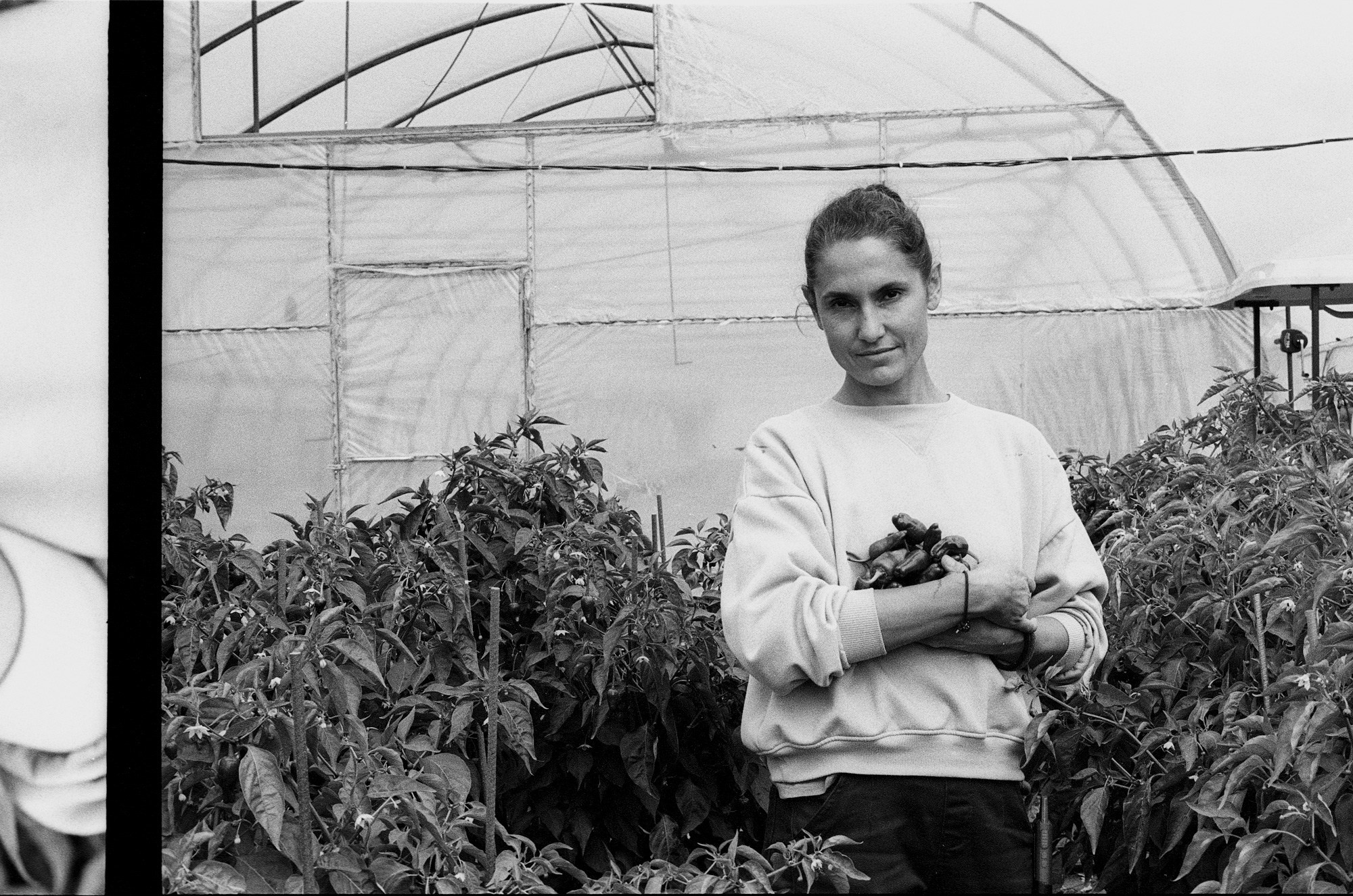 SuperFoodFarm. The history of the farm. Another person Pavel Potseluev. A photographer in 2025