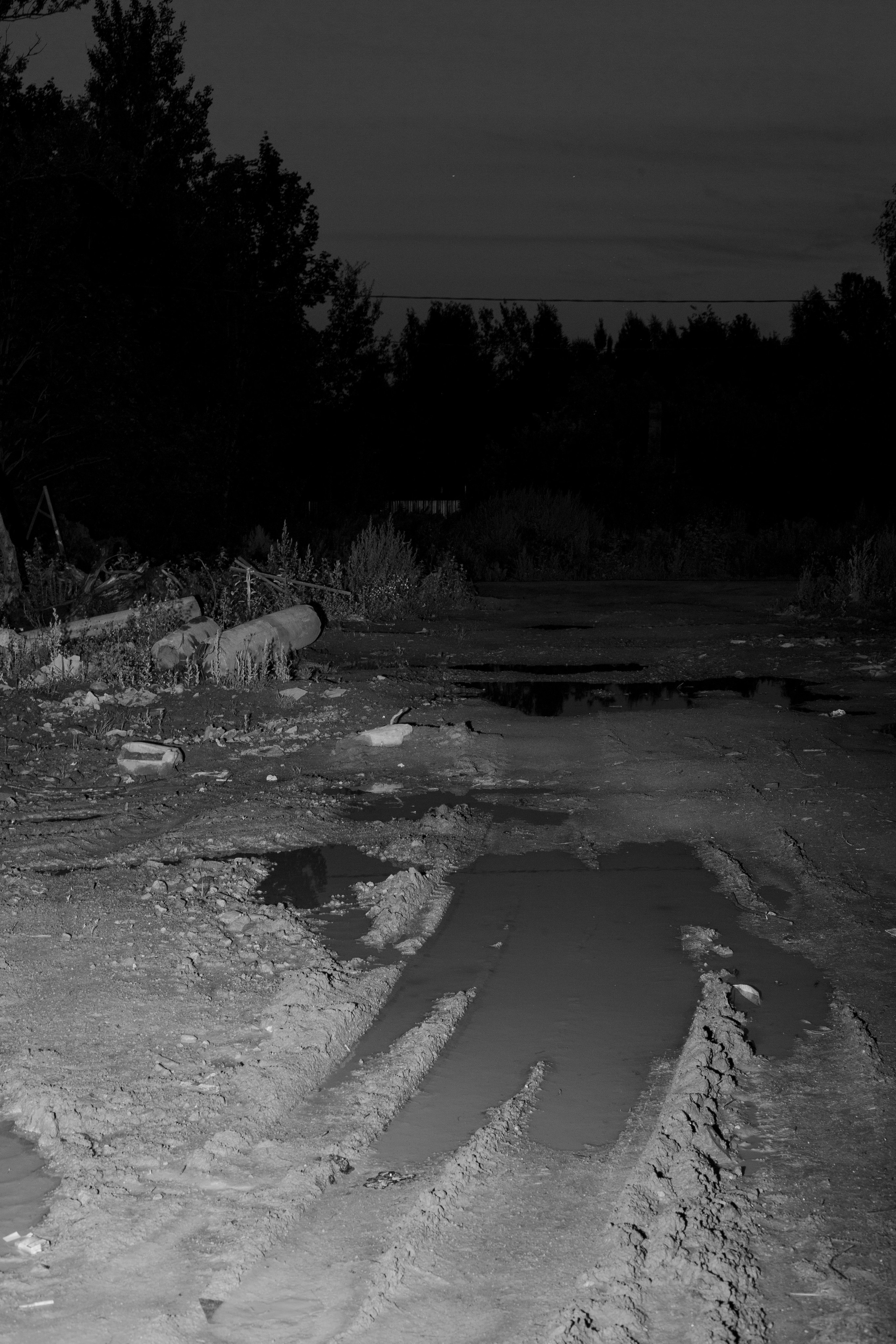 Fruits still falls from apple trees. Kristina Sergeeva