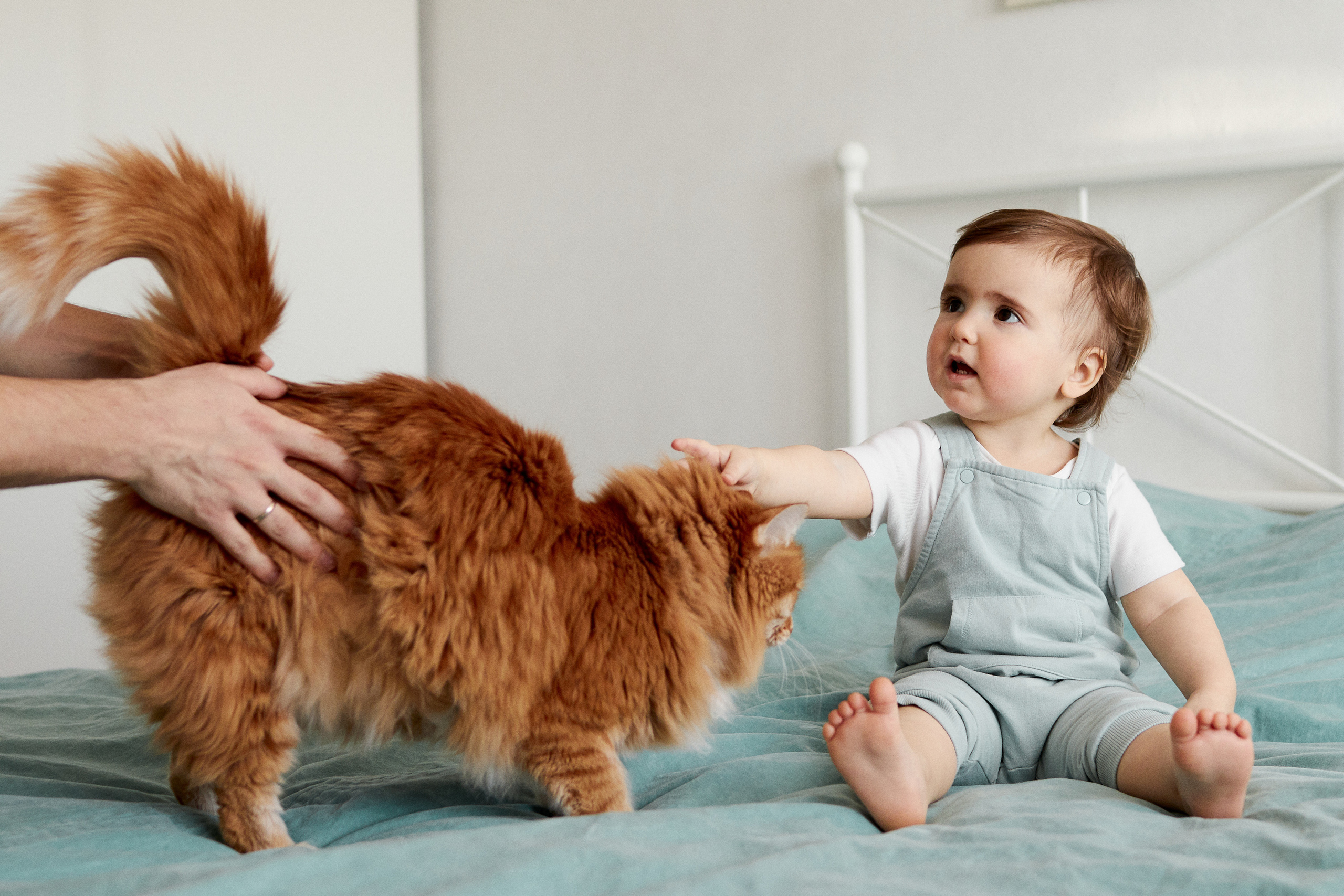 Семейные истории. Фотограф Нижний Новгород Аня Лёзина