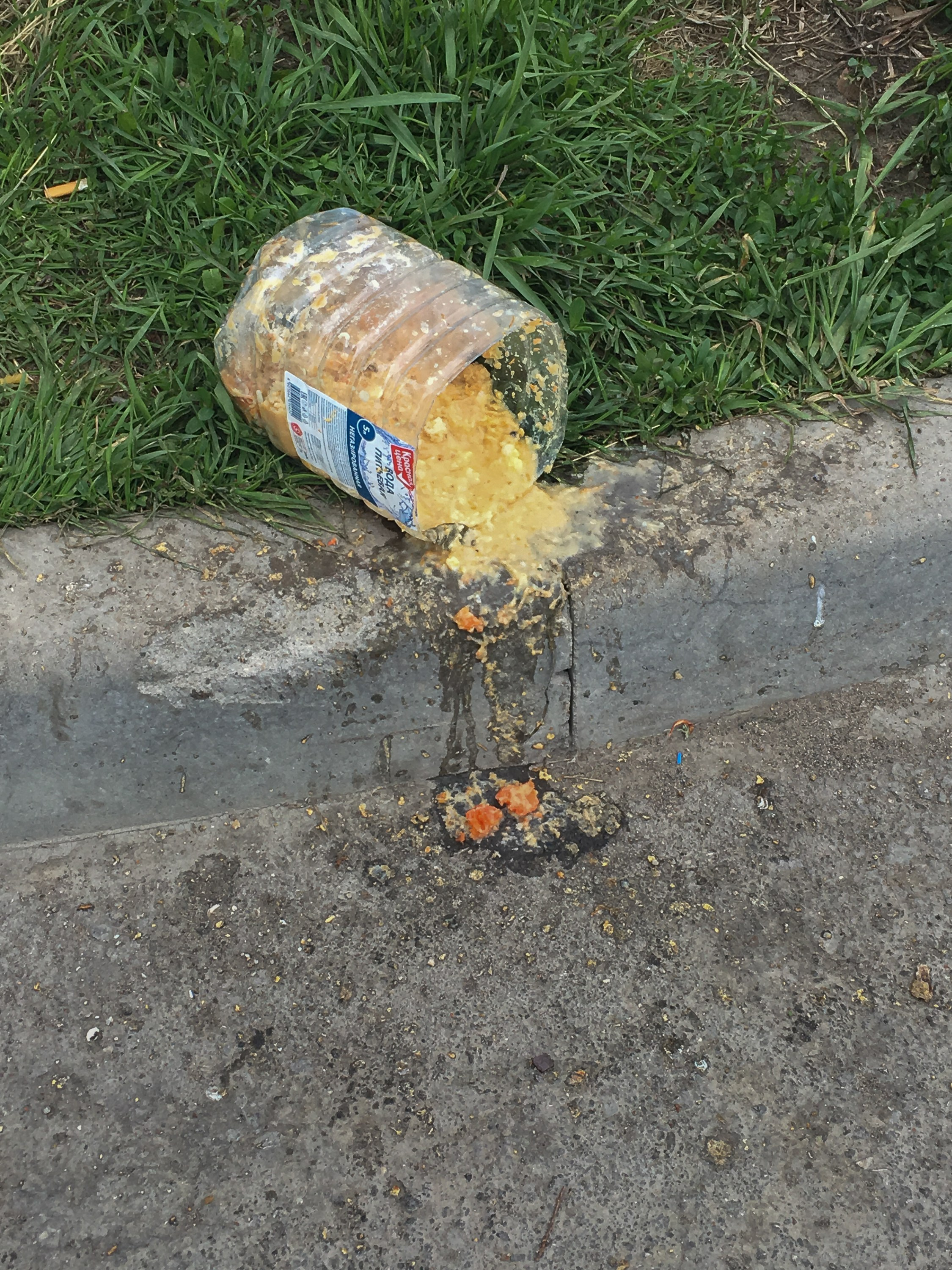 Предвзятая действительность. Дима Птицын