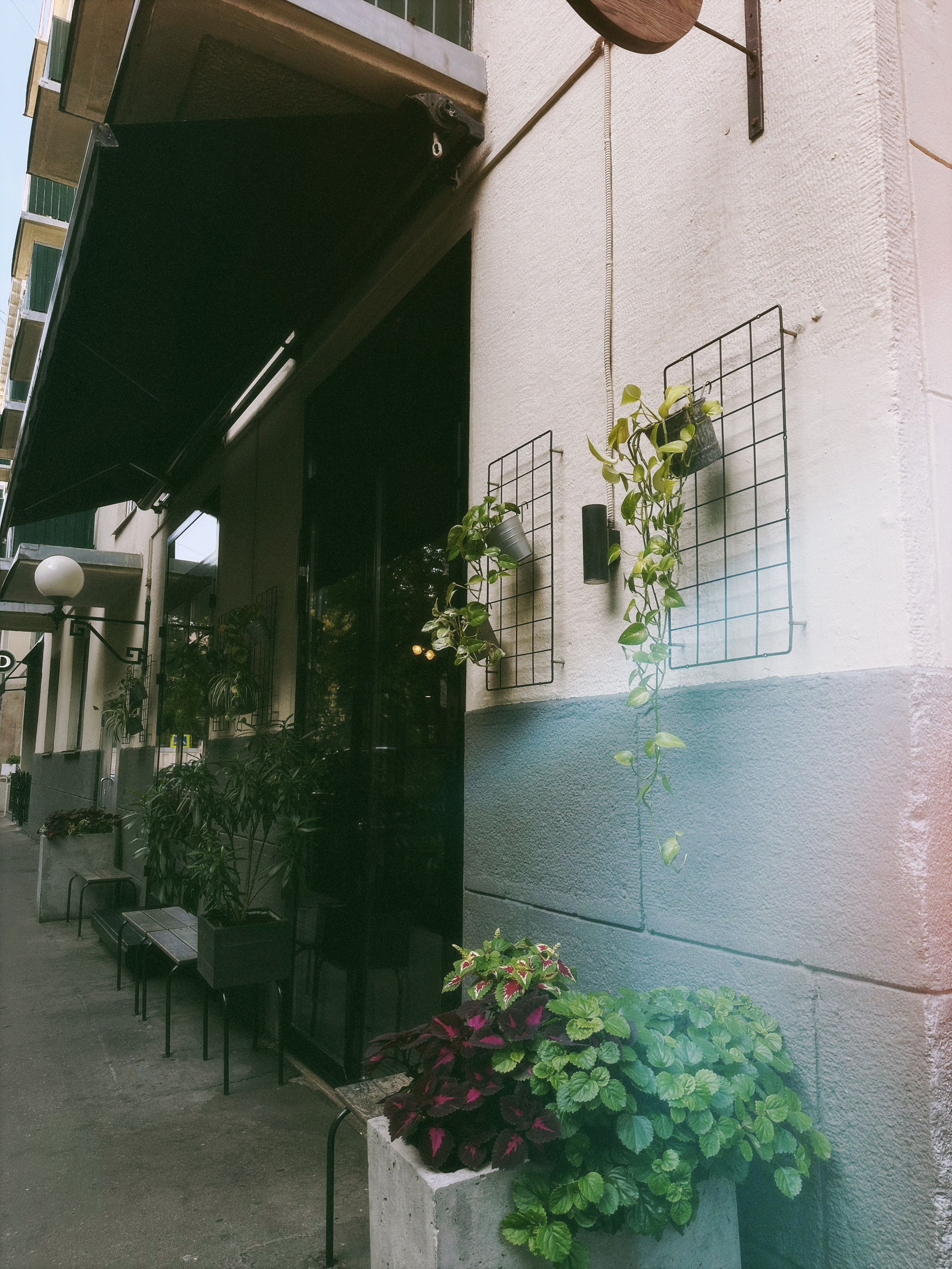 МК Мобильная фотография. Wedding photographer