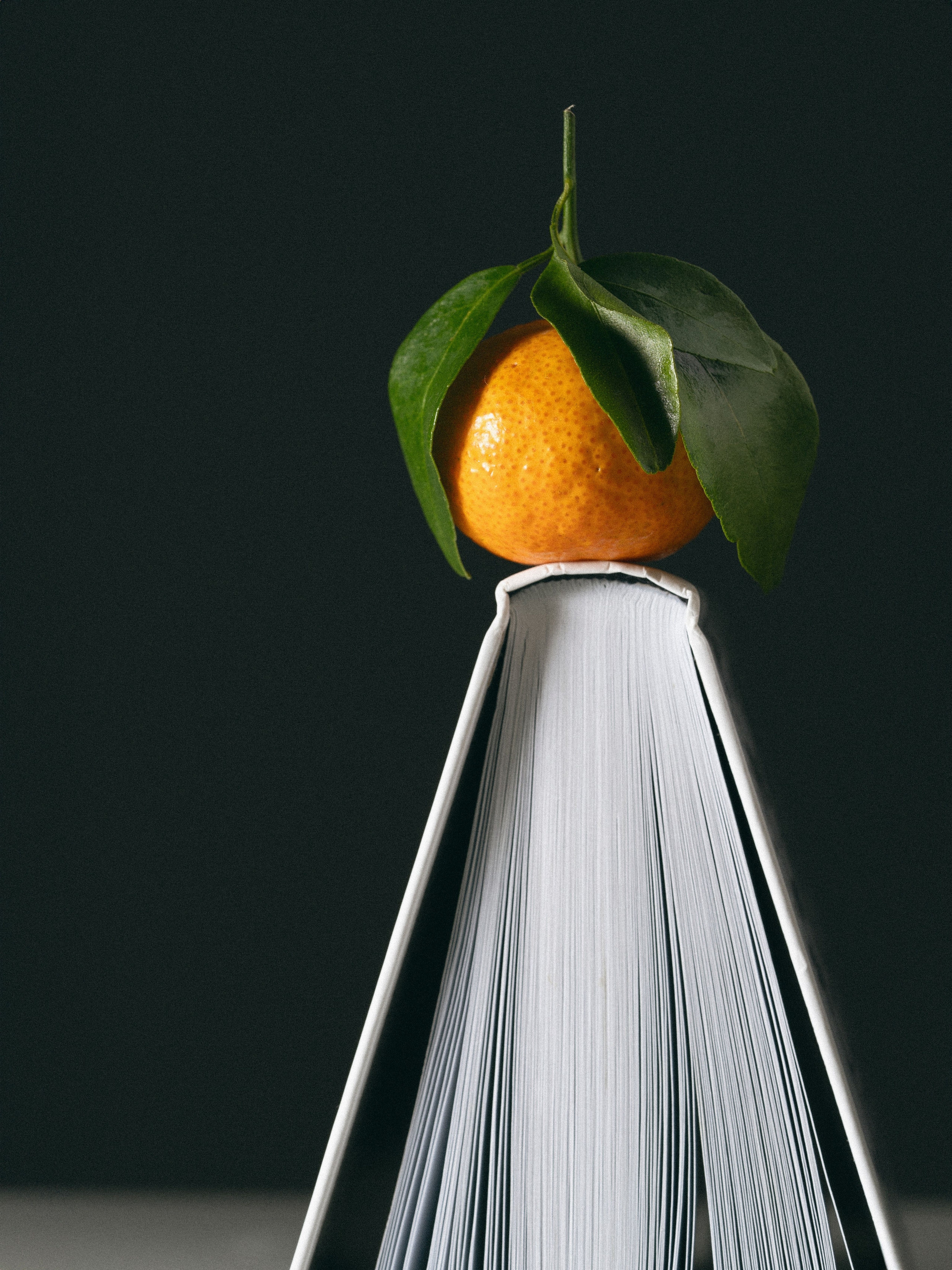 Сет-дизайнер в Москве Анна Андреева. Сет дизайнер предметный фотограф в Москве Анна Андреева