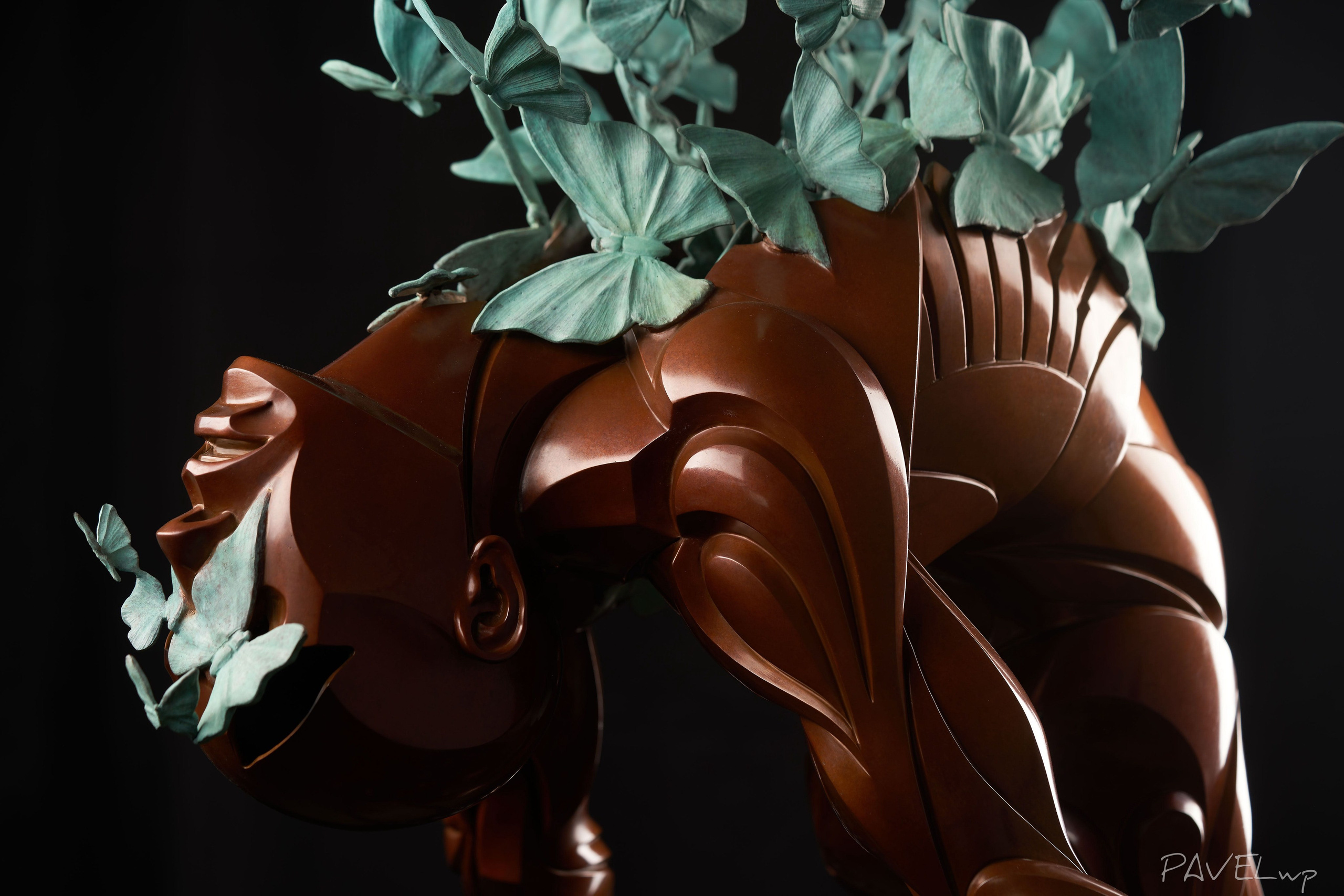 Pavel Stepanov photo, video, drone filming