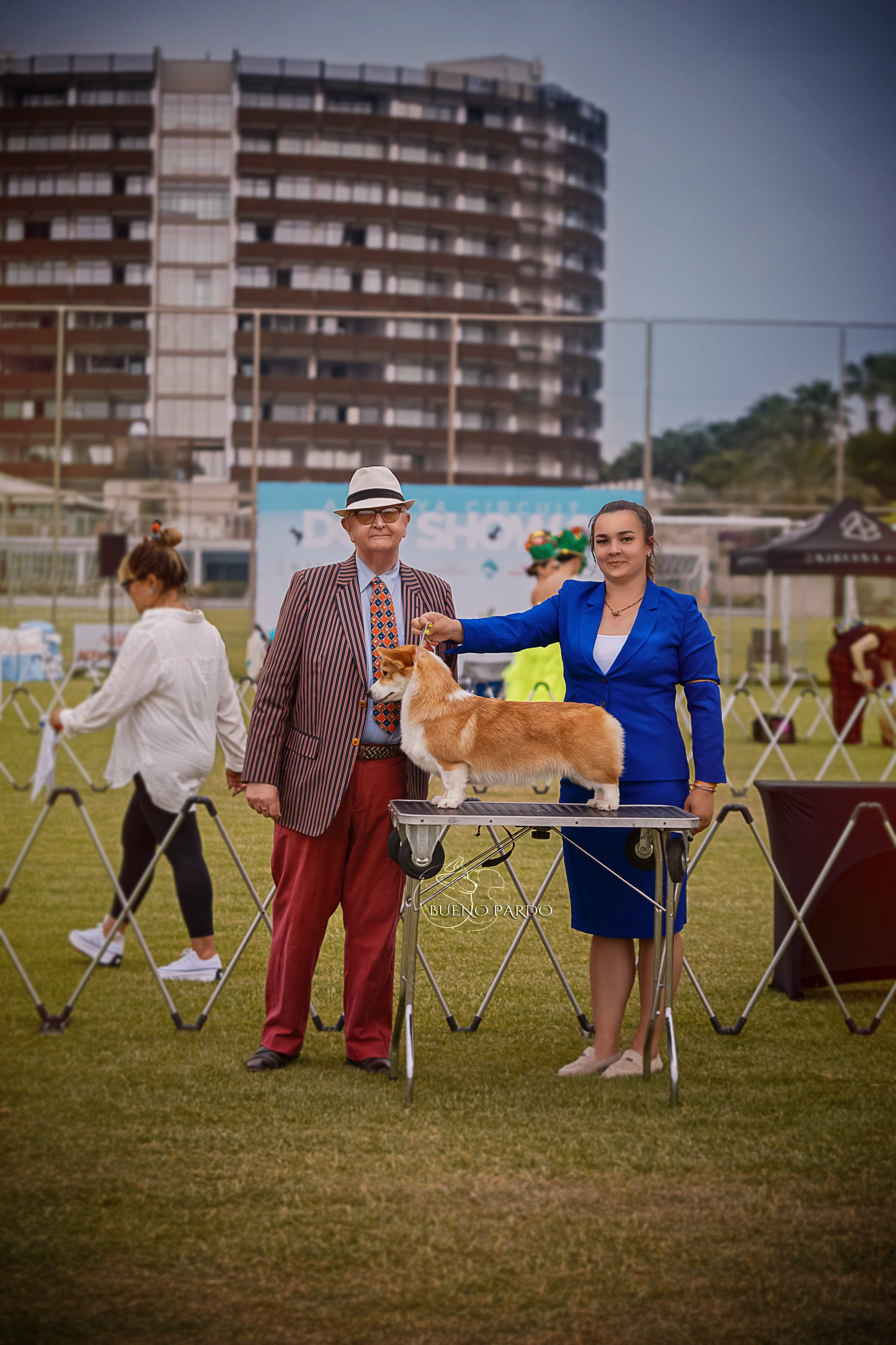 Собаки питомника Bueno Pardo. Питомник собак Акита, Хаски, Корги