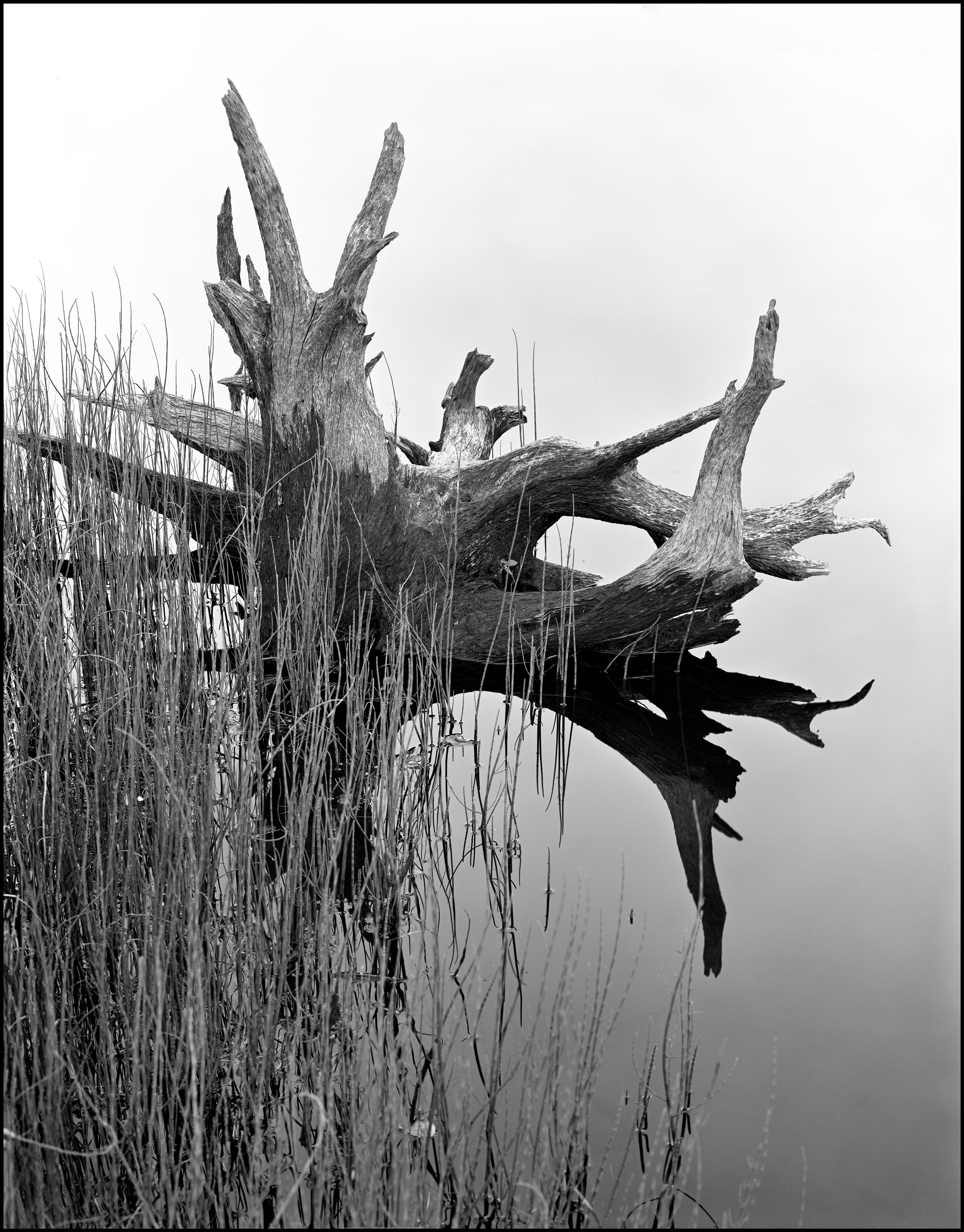 Landscape. Sergey Kondriuk art-photographer | artist