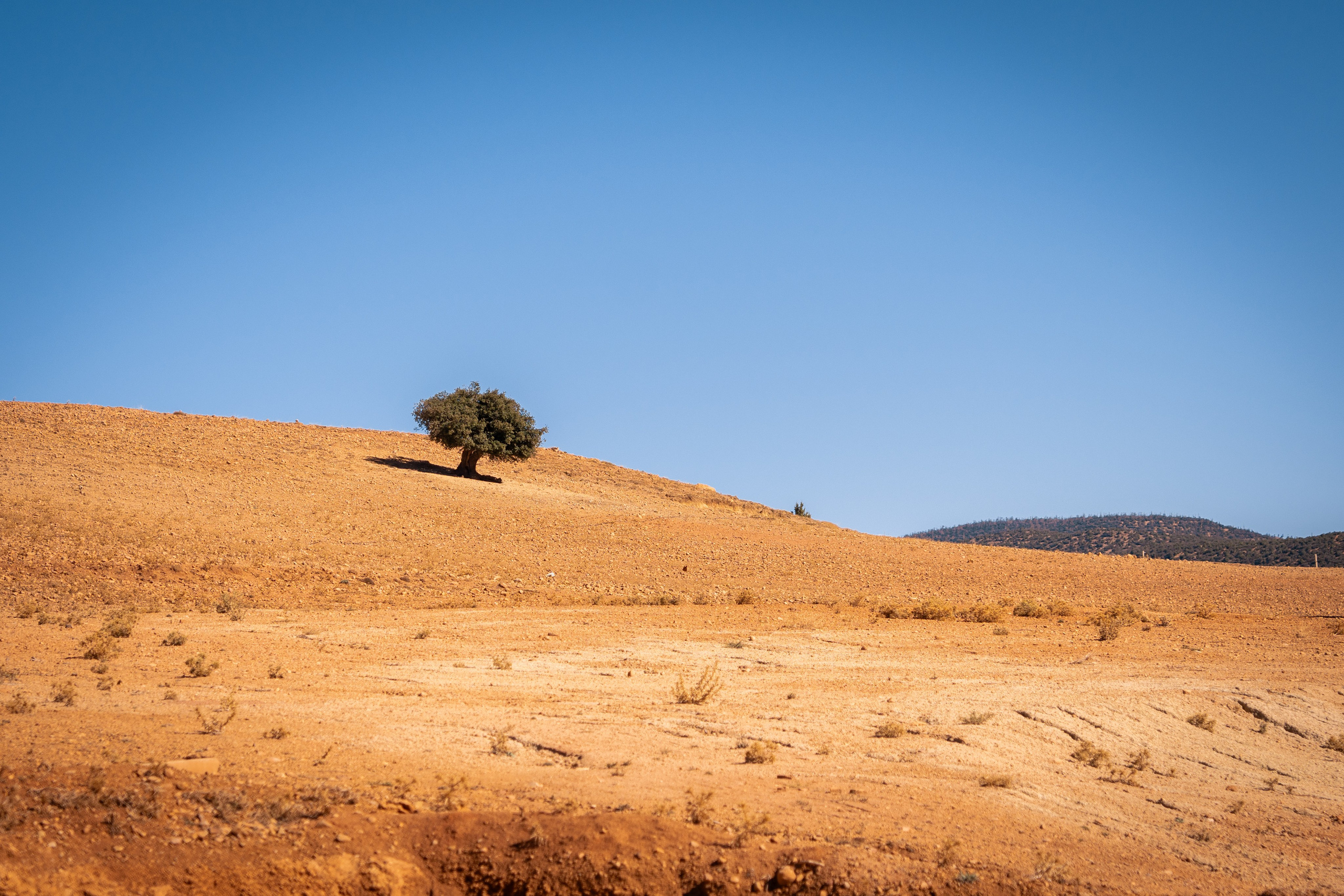 Марокко. Илья Варин — Фотограф Москва, Тверь