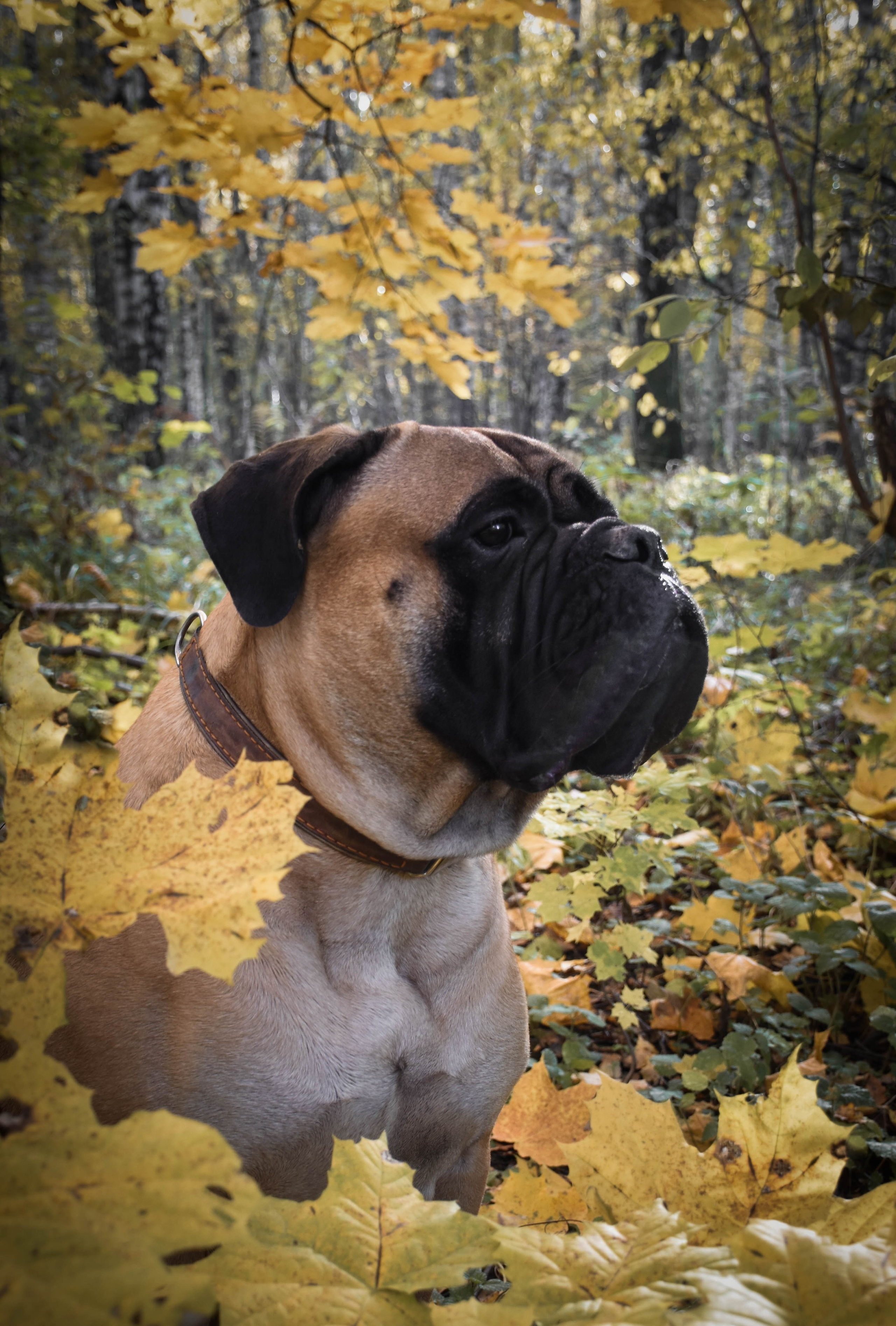 В созвучии с природой. Фотограф Светлана В. Пронина, Москва