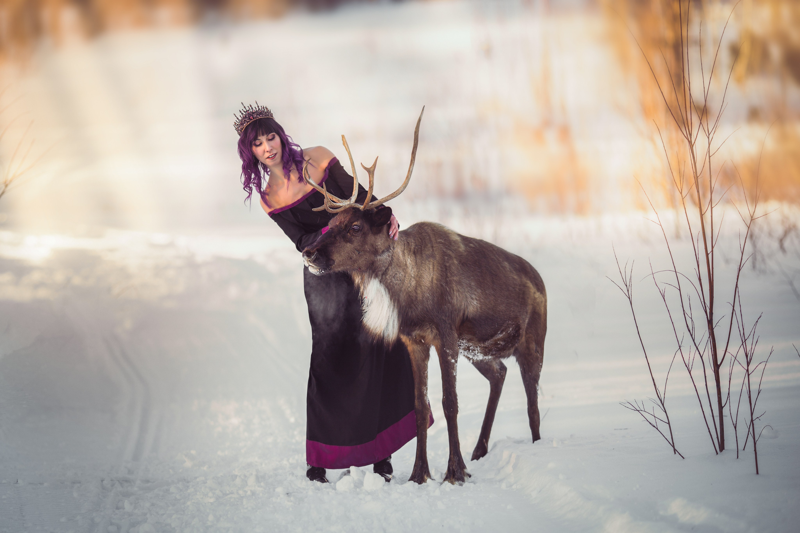 Фото с оленями. Обо мне