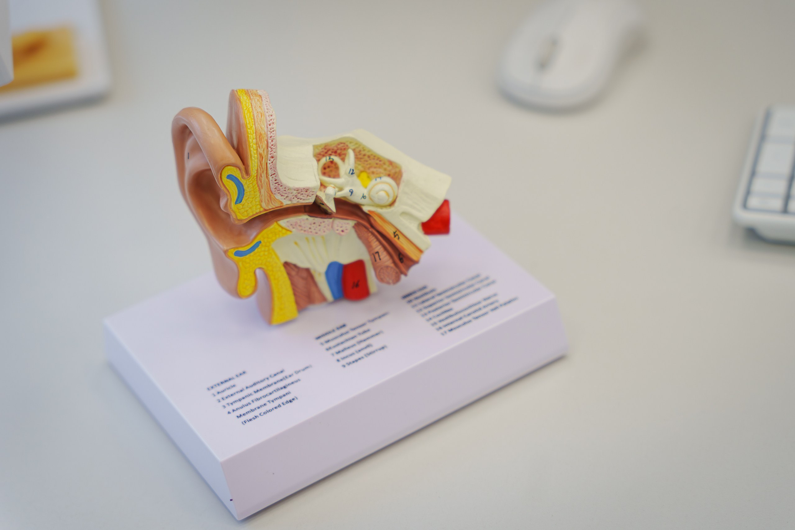 Интерьерная фотосъёмка клиники «СлышуВижу» в Уфе | Фотограф для бизнеса Уфа