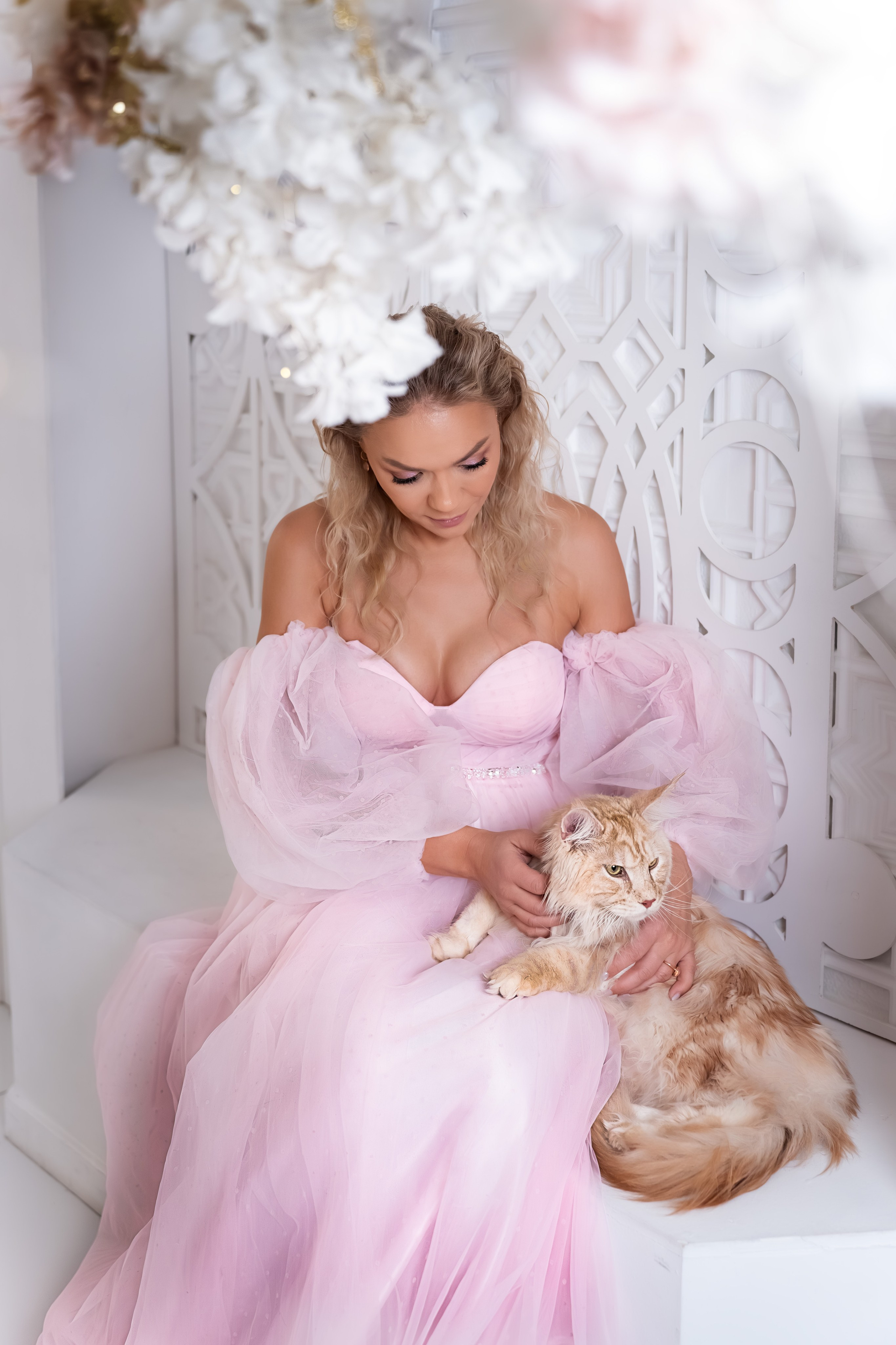 Фотосессия с котом и котятами в студии в Москве от фотографа Елены Жмельковой