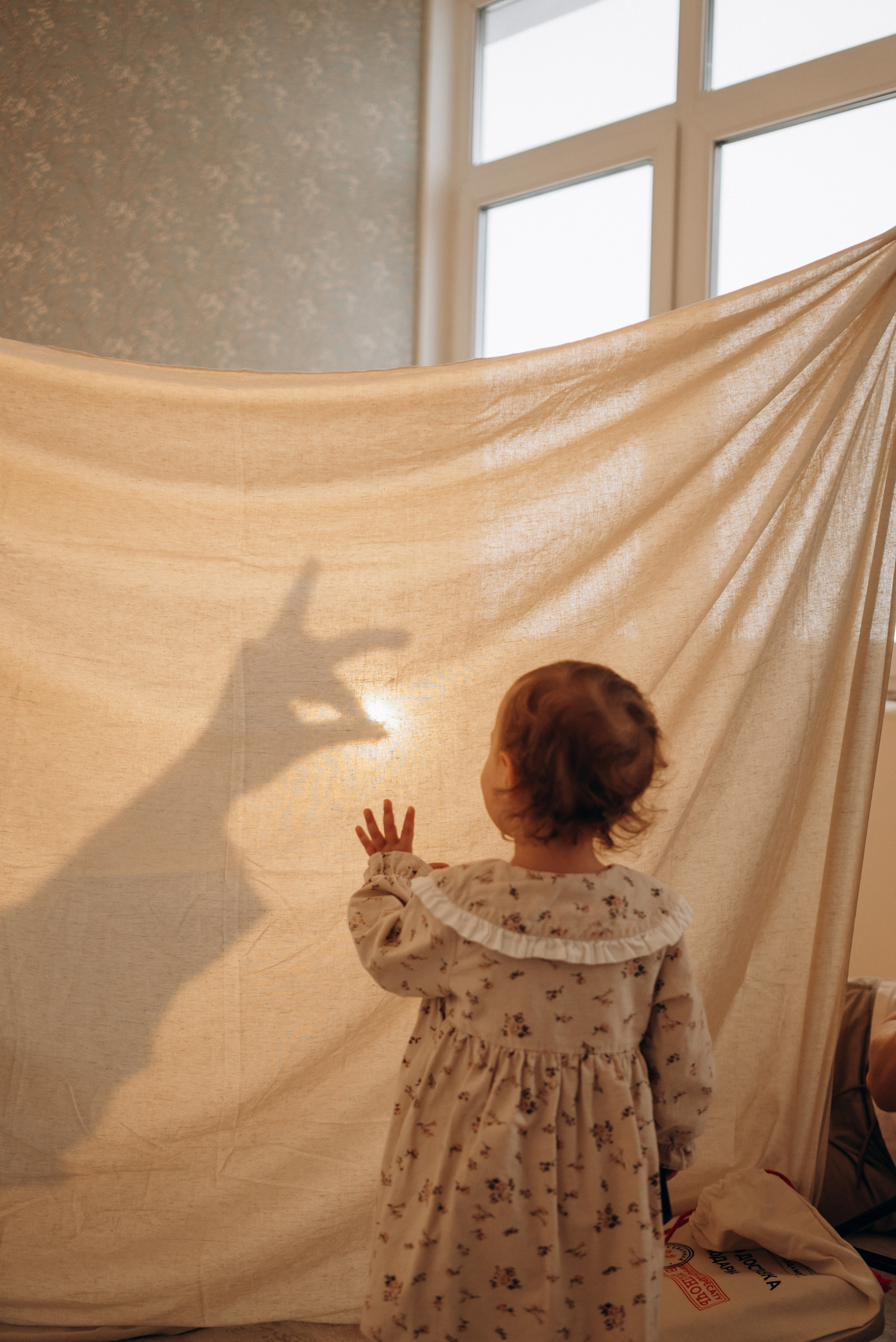 Семейный и женский фотограф Вероника Никкор