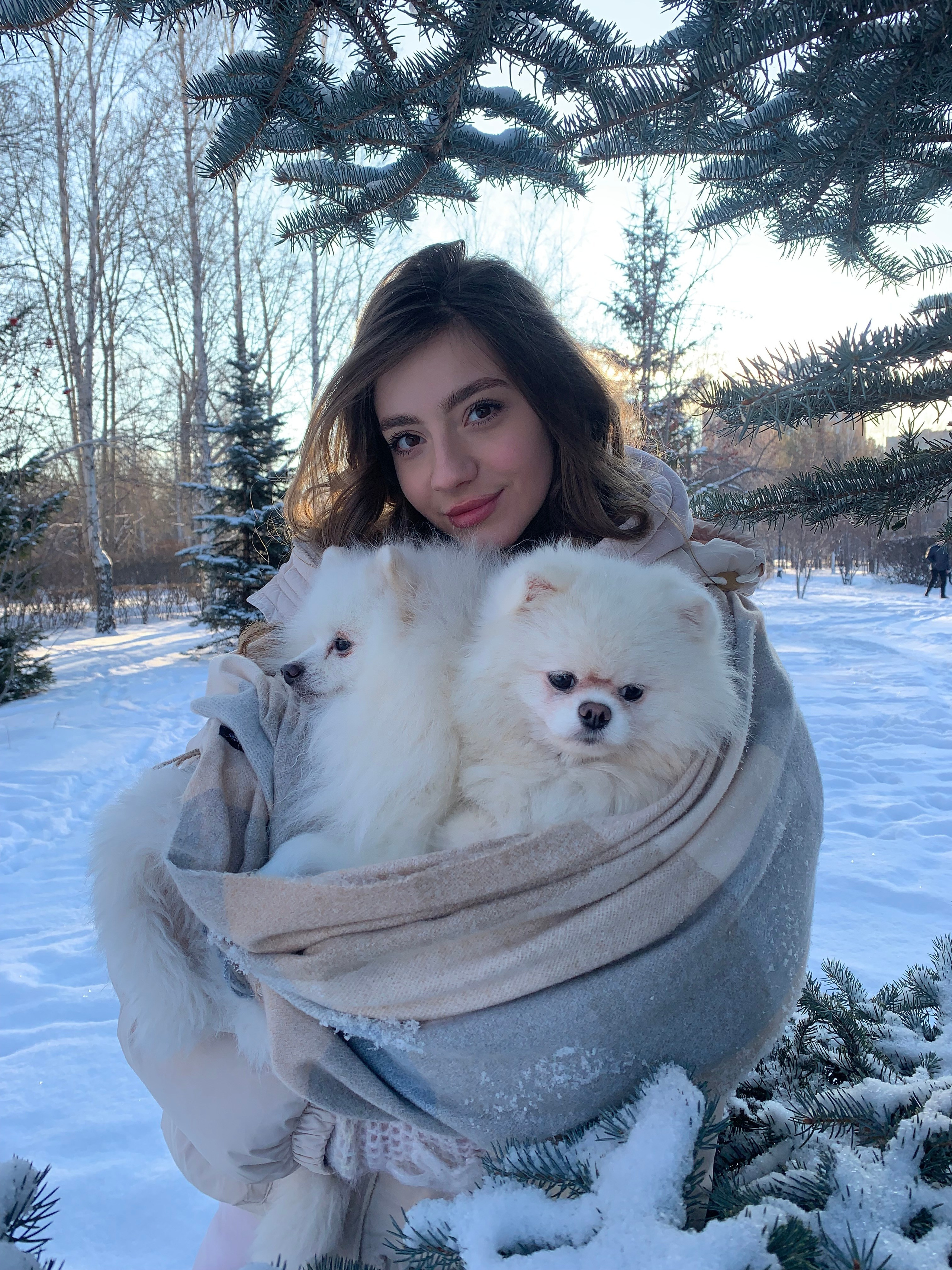 Юлия и шпицы