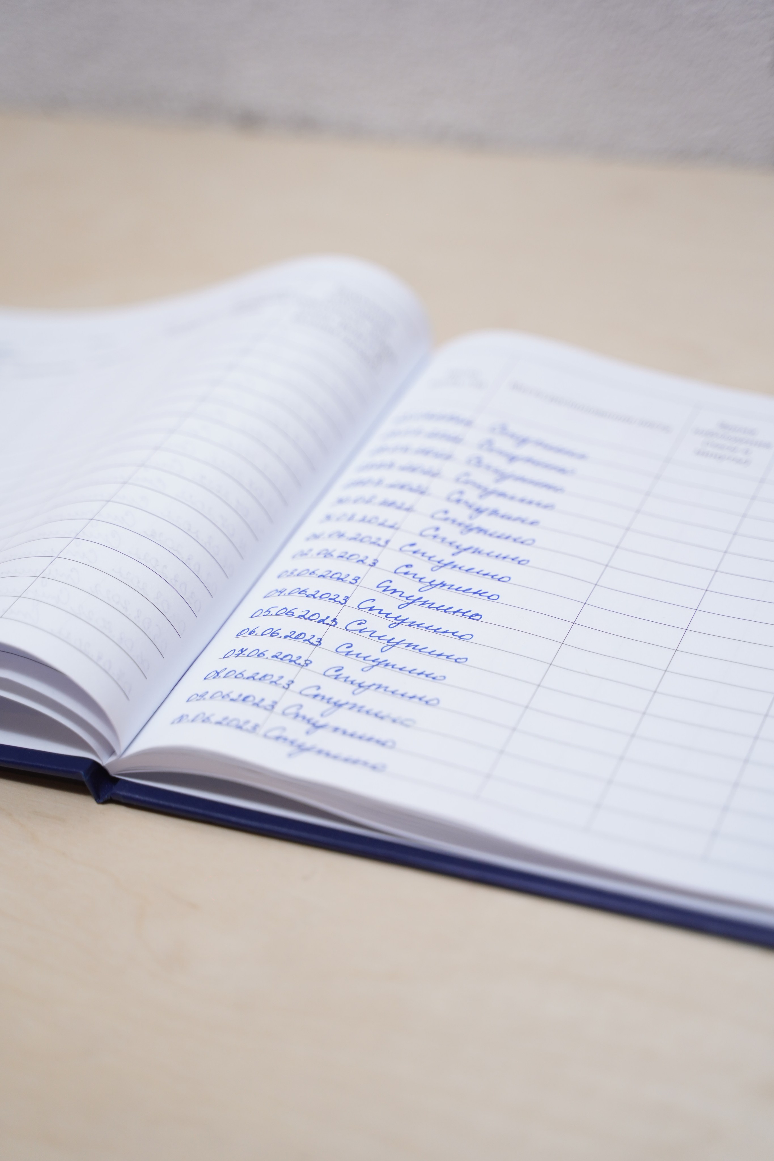 Полуденное, групповая выставка, 26.09-10.10, пространство «Союз», Тула. Лера Круглова