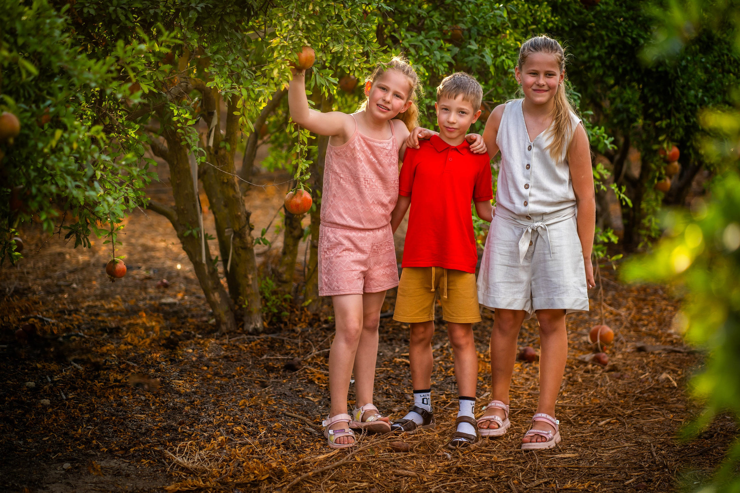 Гранатовый сад. Семейный и детский фотограф в Израиле и Москве Дорошок Надя