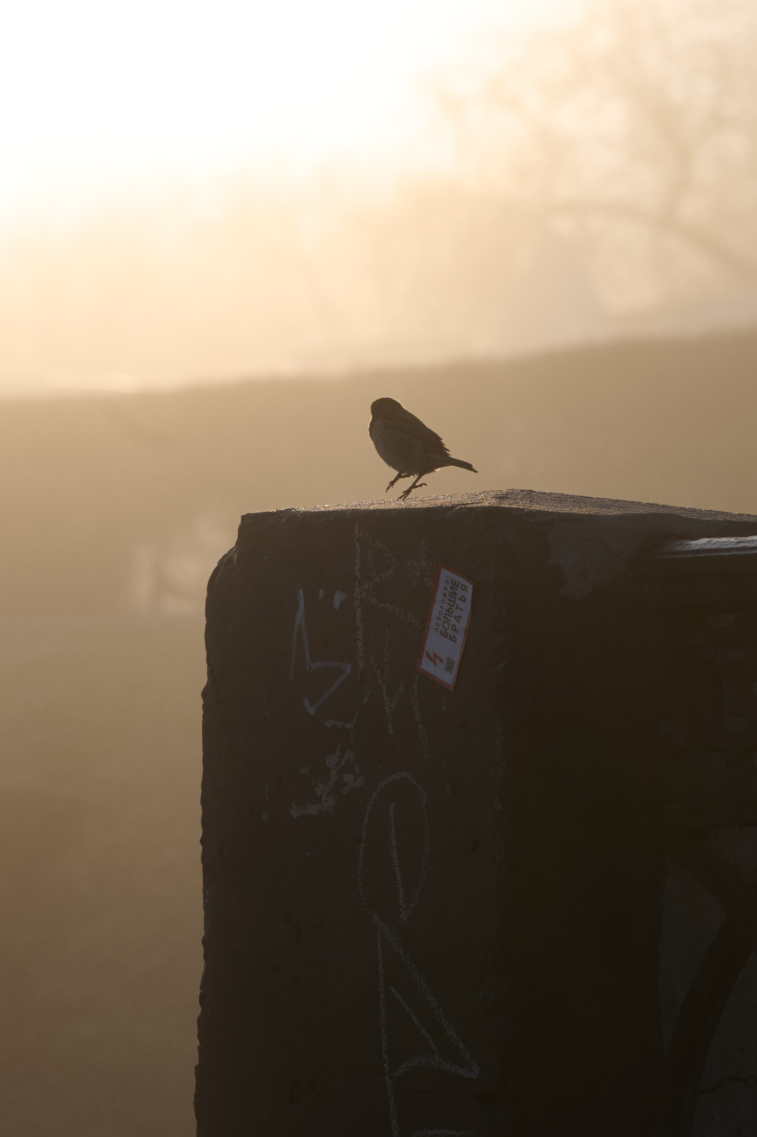 Туман на набережной Волги в Самаре, 8 апреля 2025 года