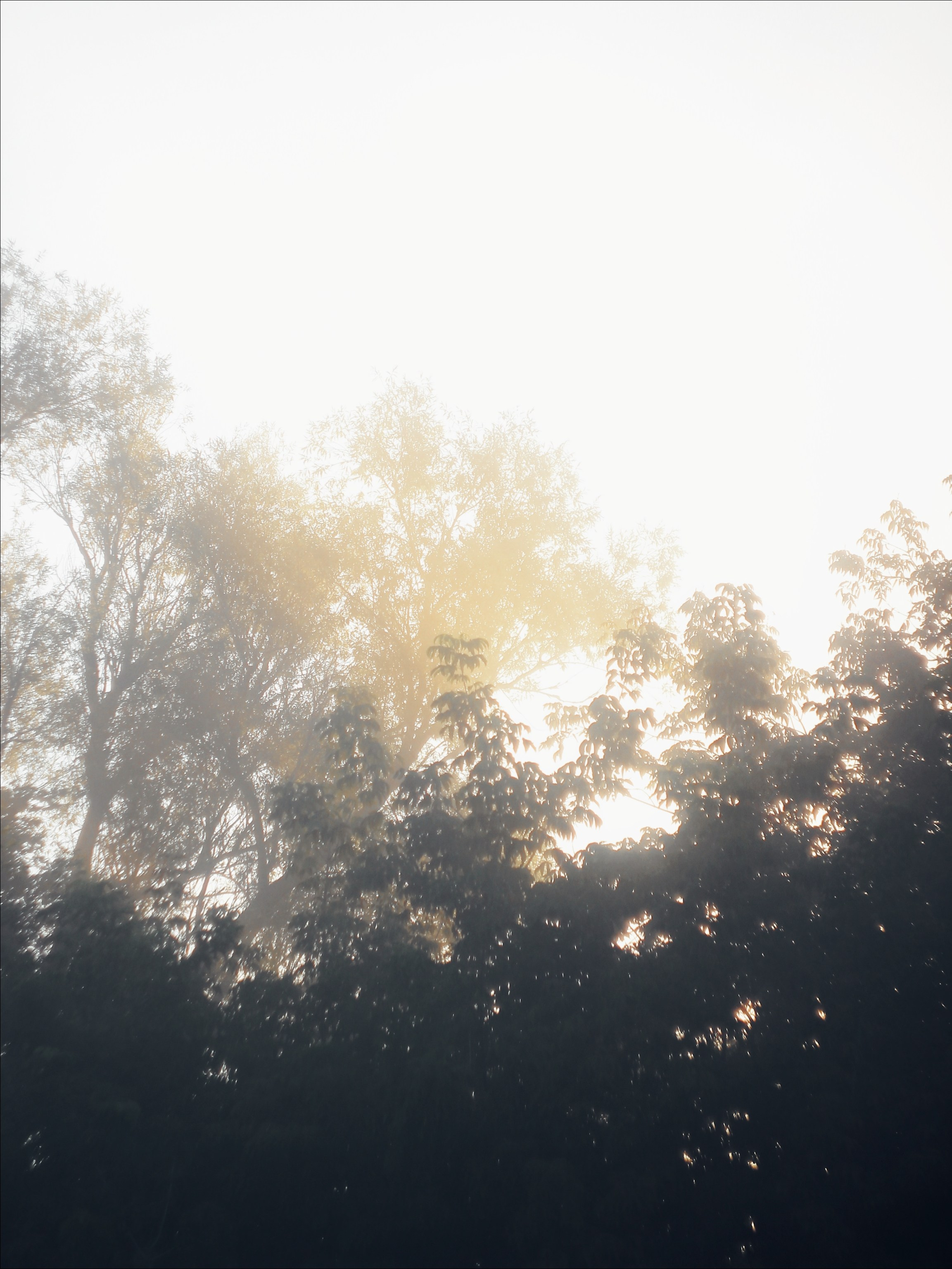 Опустошенность. С любовью, фотохудожник