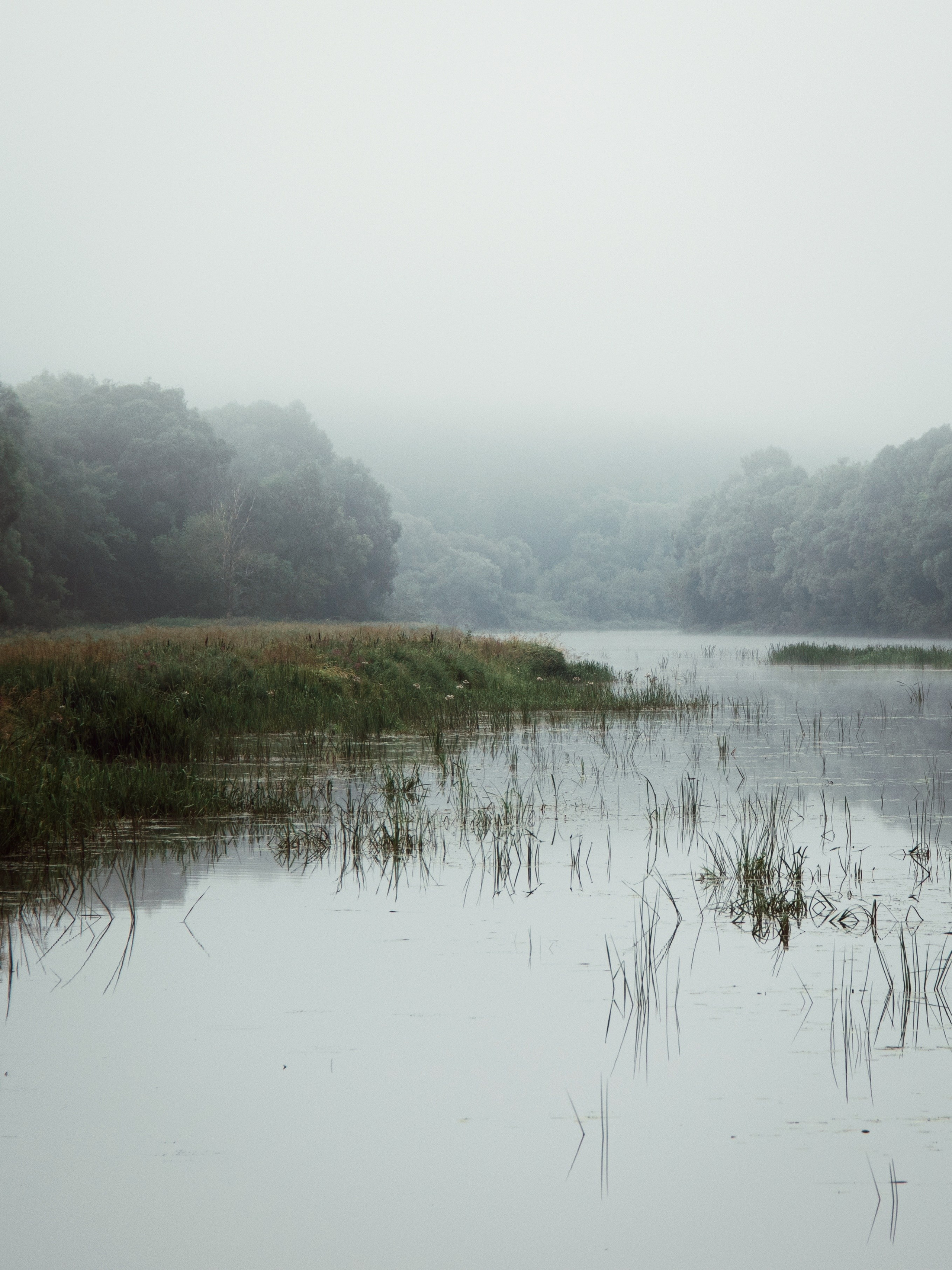 Застывшая утренняя тишина. С любовью, фотохудожник