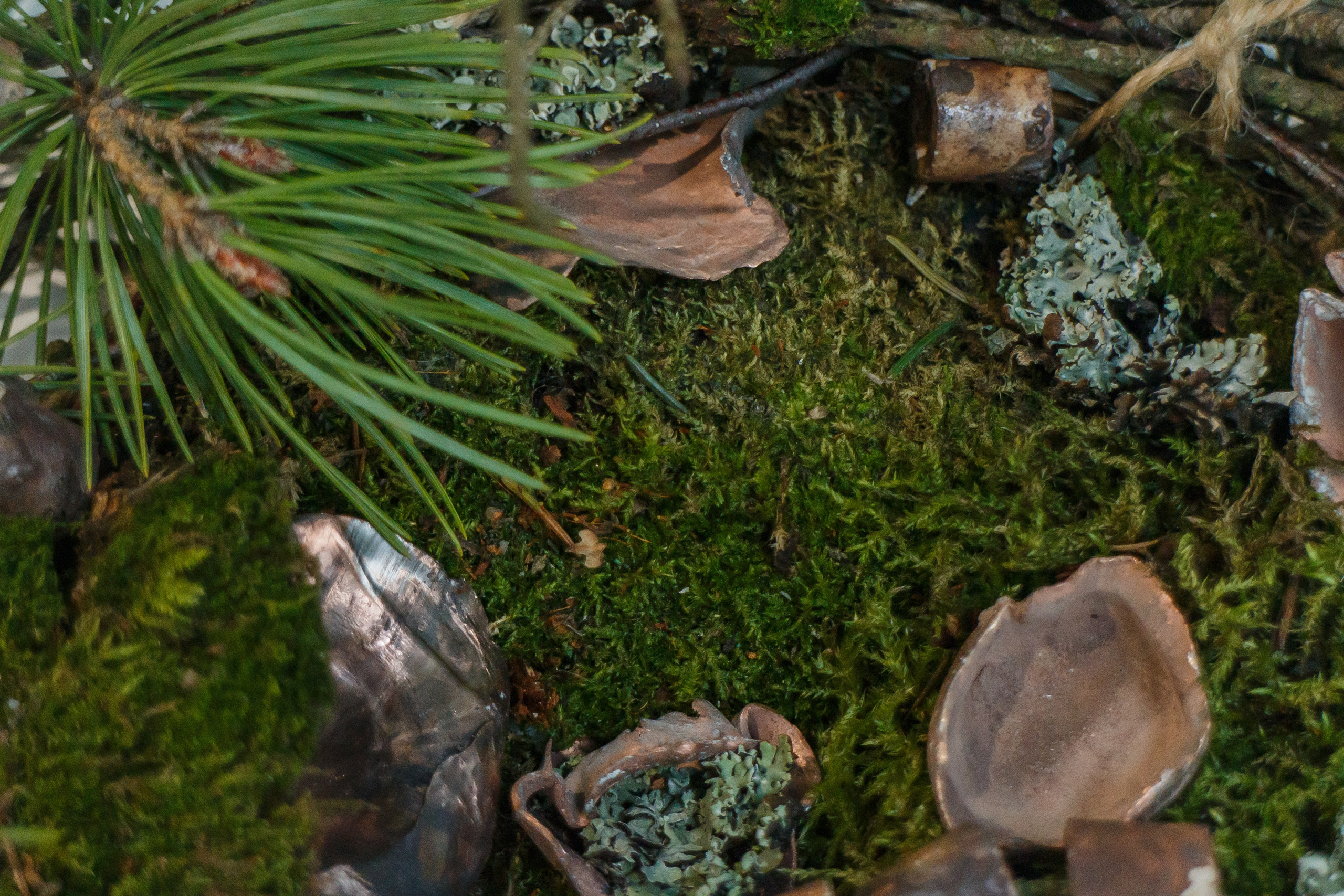 56,0123320, 38,39001773. Козлова Екатерина. Междисциплинарная визуальная художница