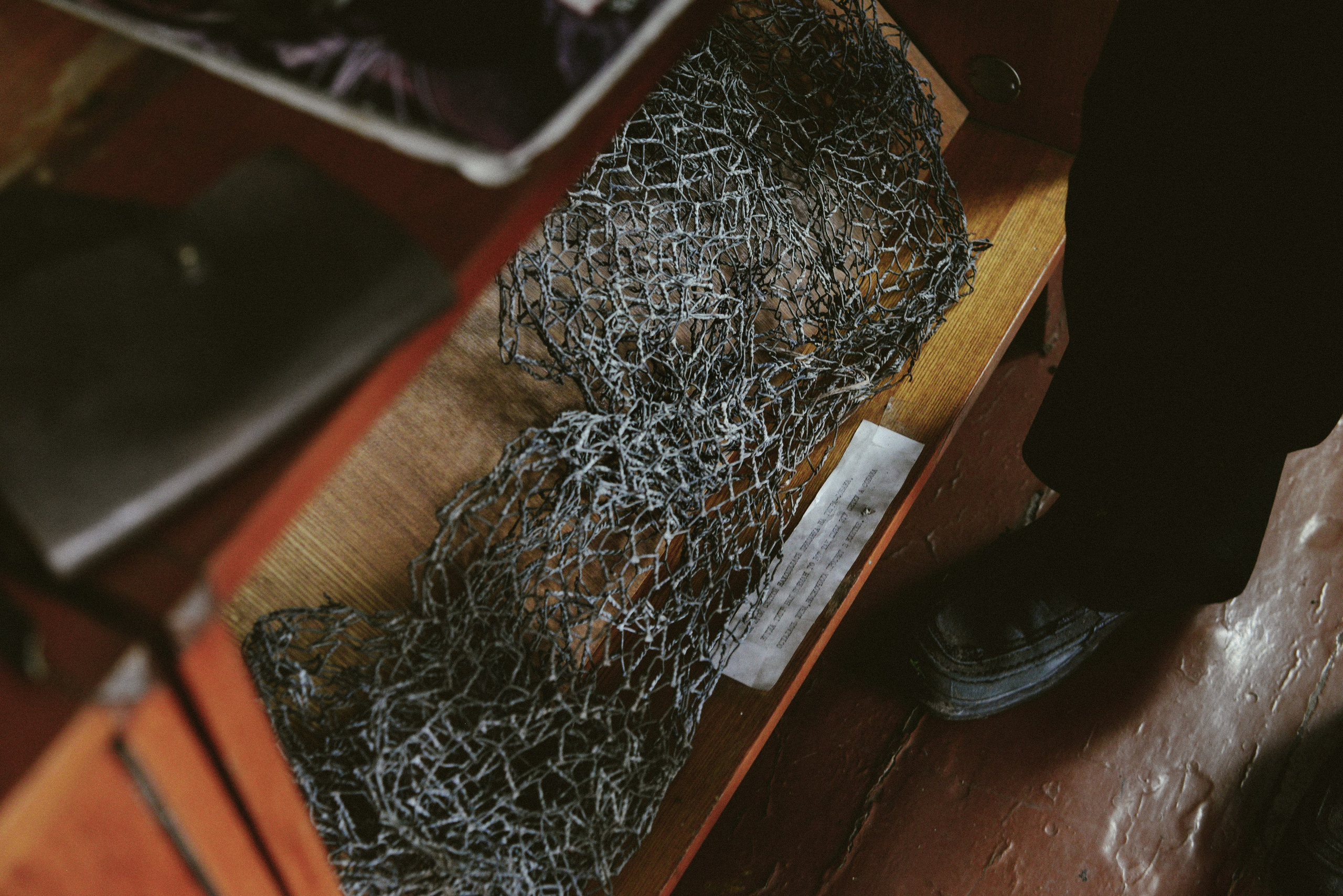 Тигролов. Дарья Пянзина | фотограф |междисциплинарная художница