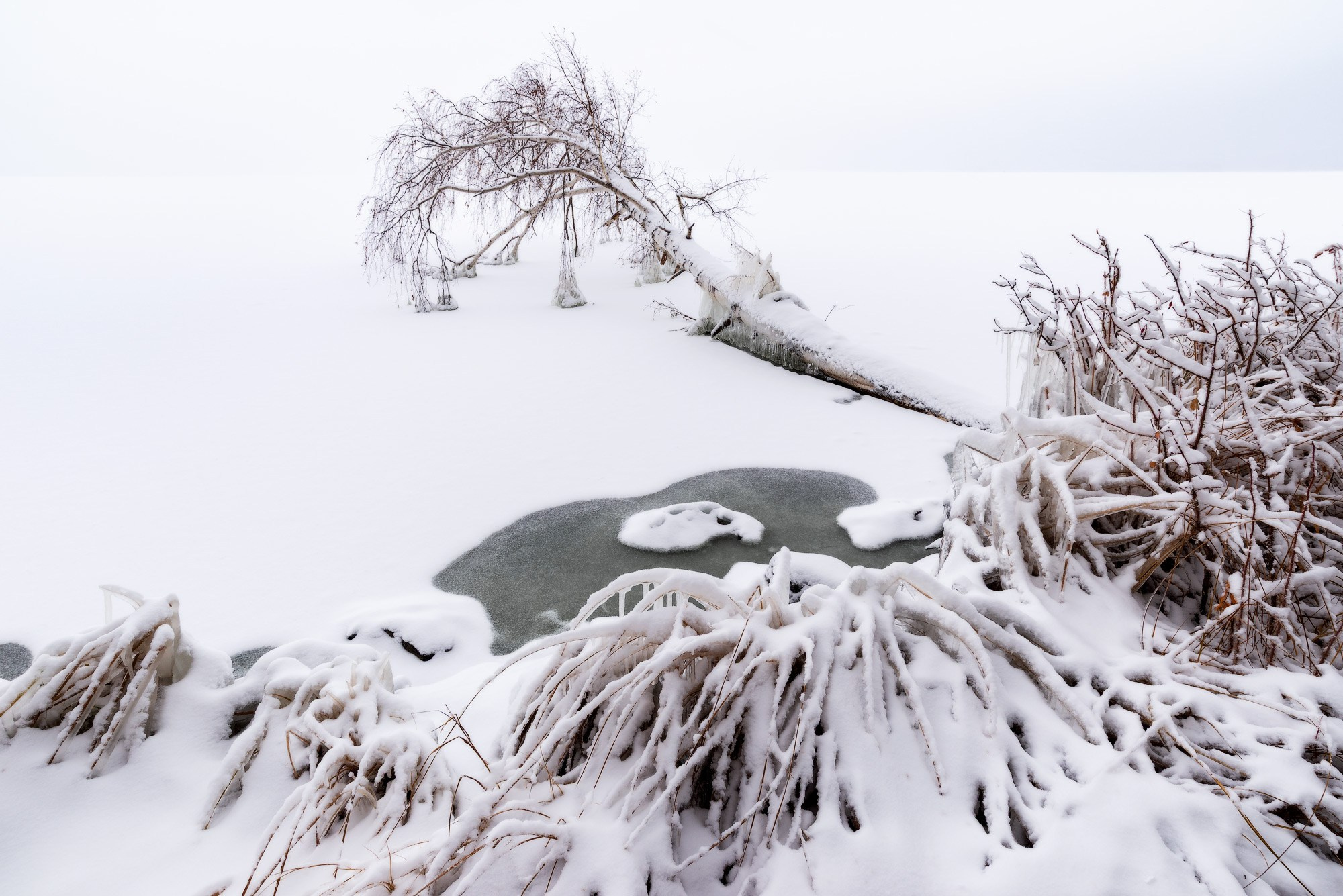 Осенние пейзажи Черноисточинска | Фотограф Николай Обухов