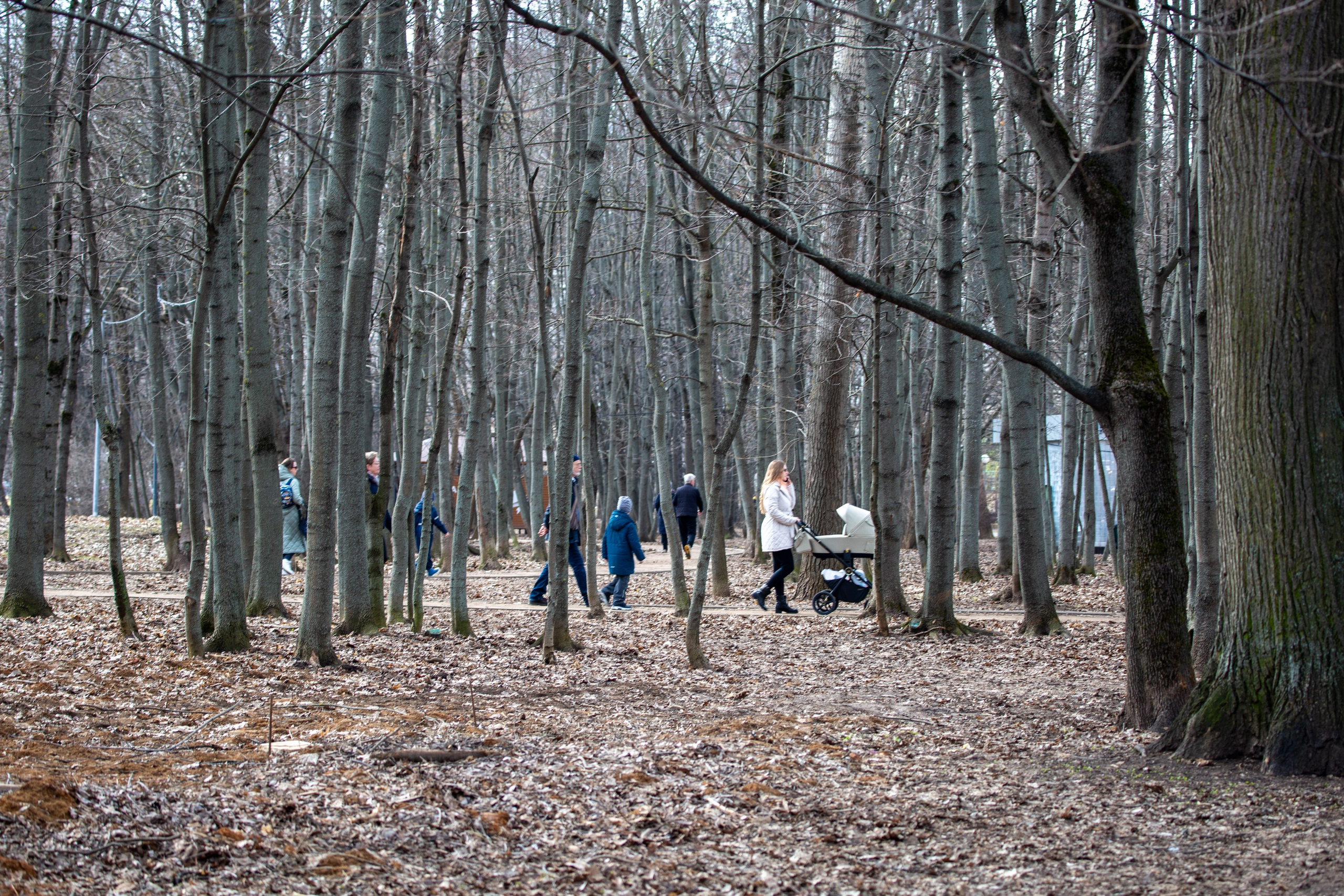 Весенняя фотопрогулка. Главная