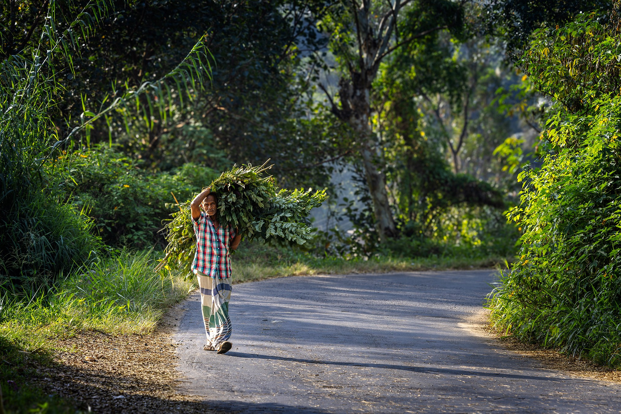 Sri-Lanka. High-quality interior photos for your home, office, hotel
