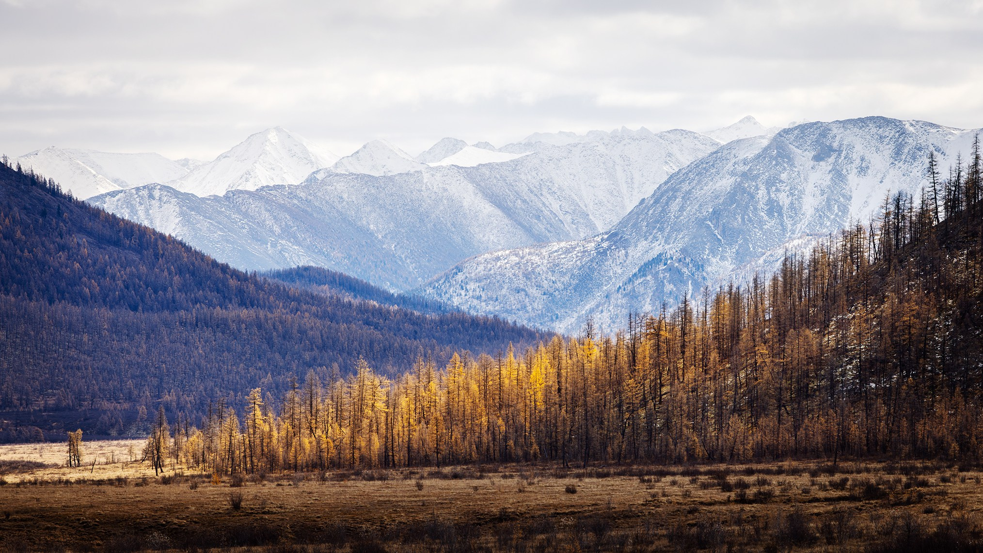 Сибирь. High-quality interior photos for your home, office, hotel