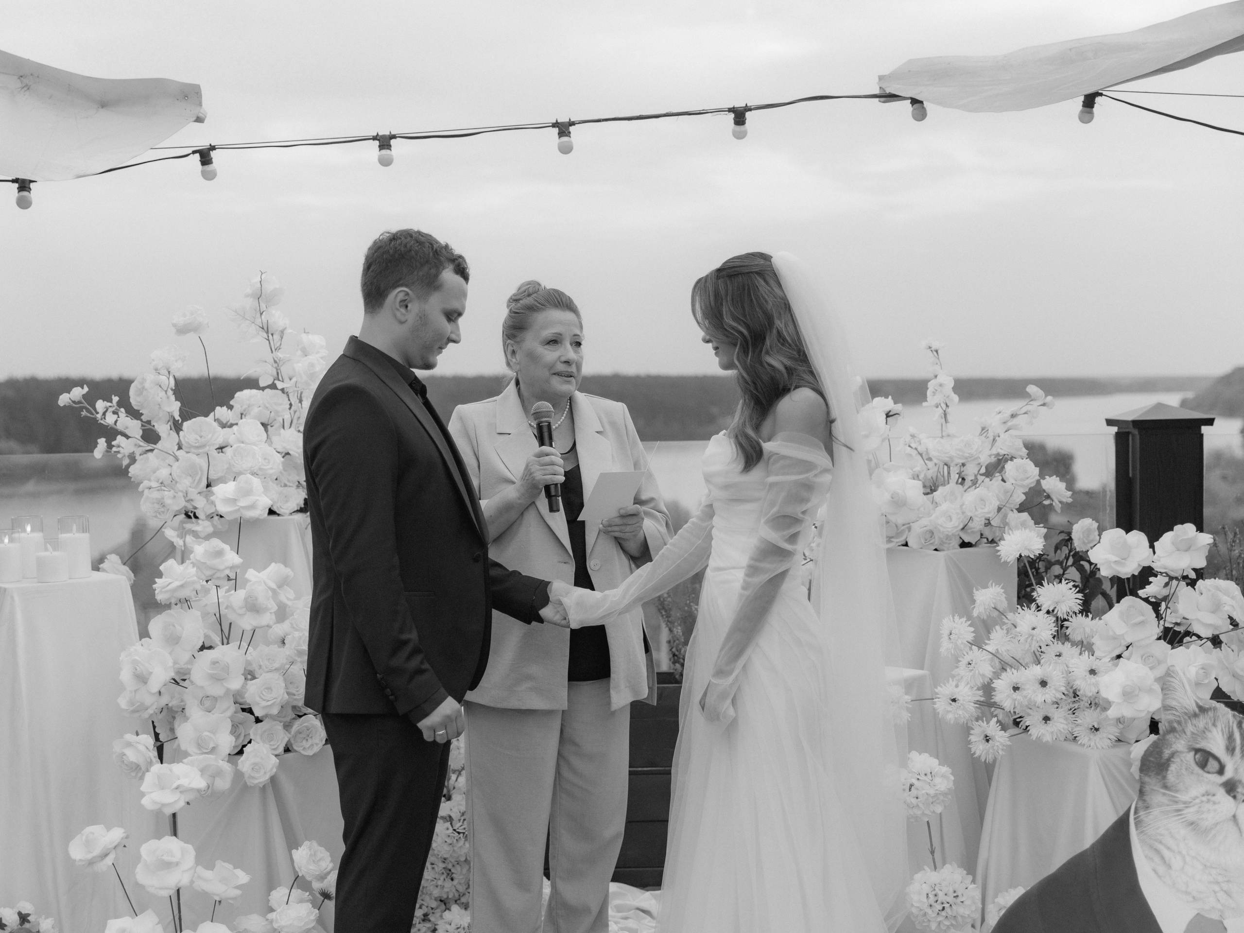 Алина+Максим. Свадебный и семейный фотограф в Белгороде Елена Риннова