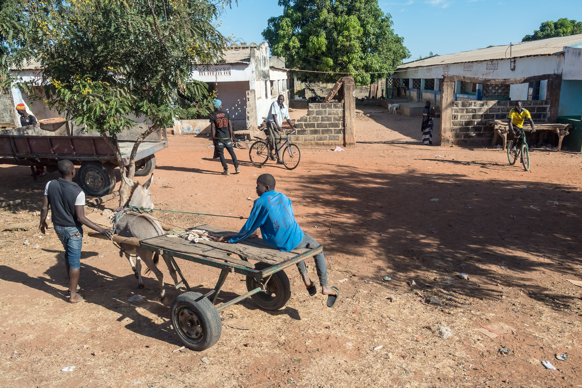Путешествие по Гамбии (Западная Африка).Traveling in Gambia (West Africa.). Фотограф Алексей Скоробогатько