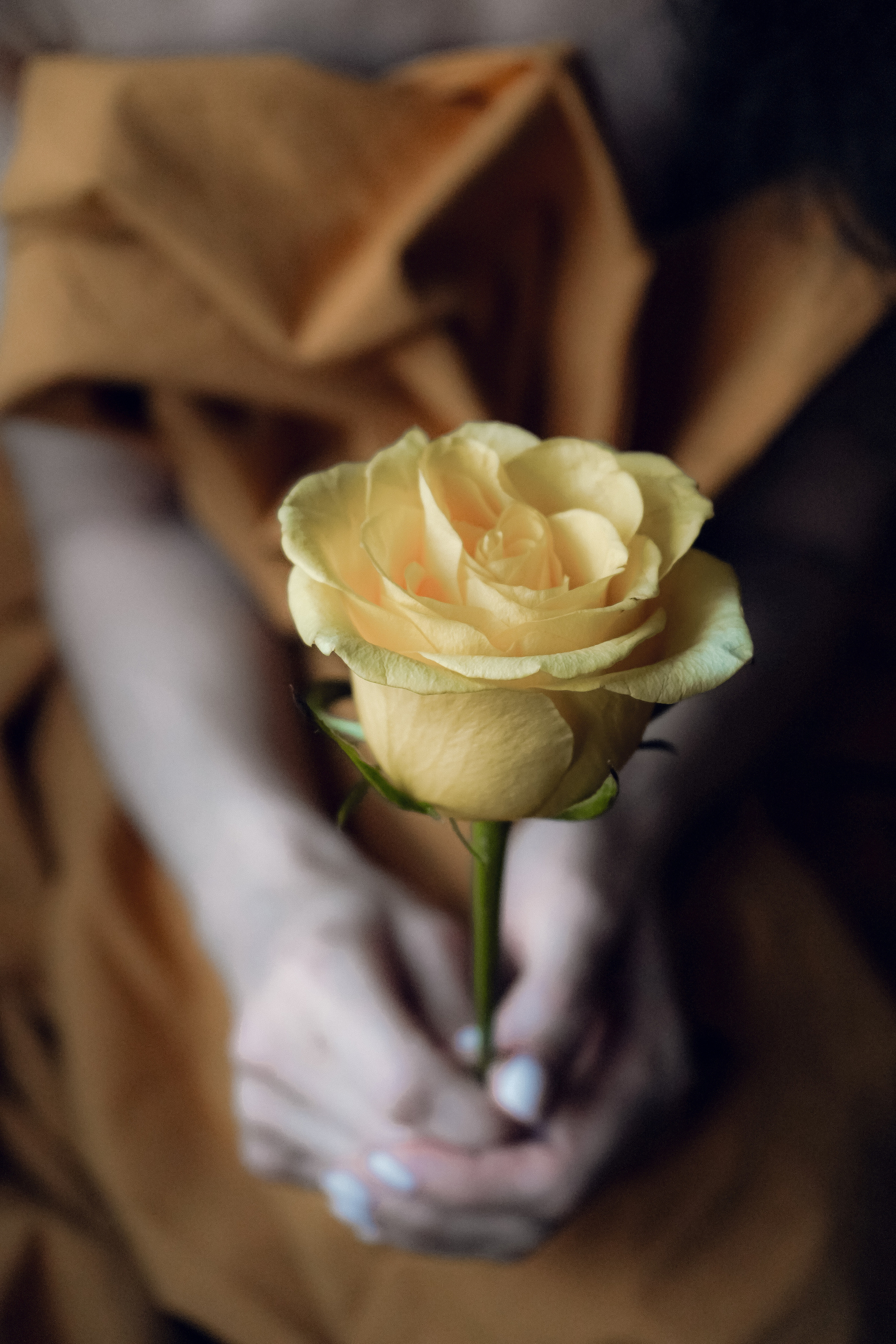 Фотосессия Анна. Фотограф в Сочи Марина Барс