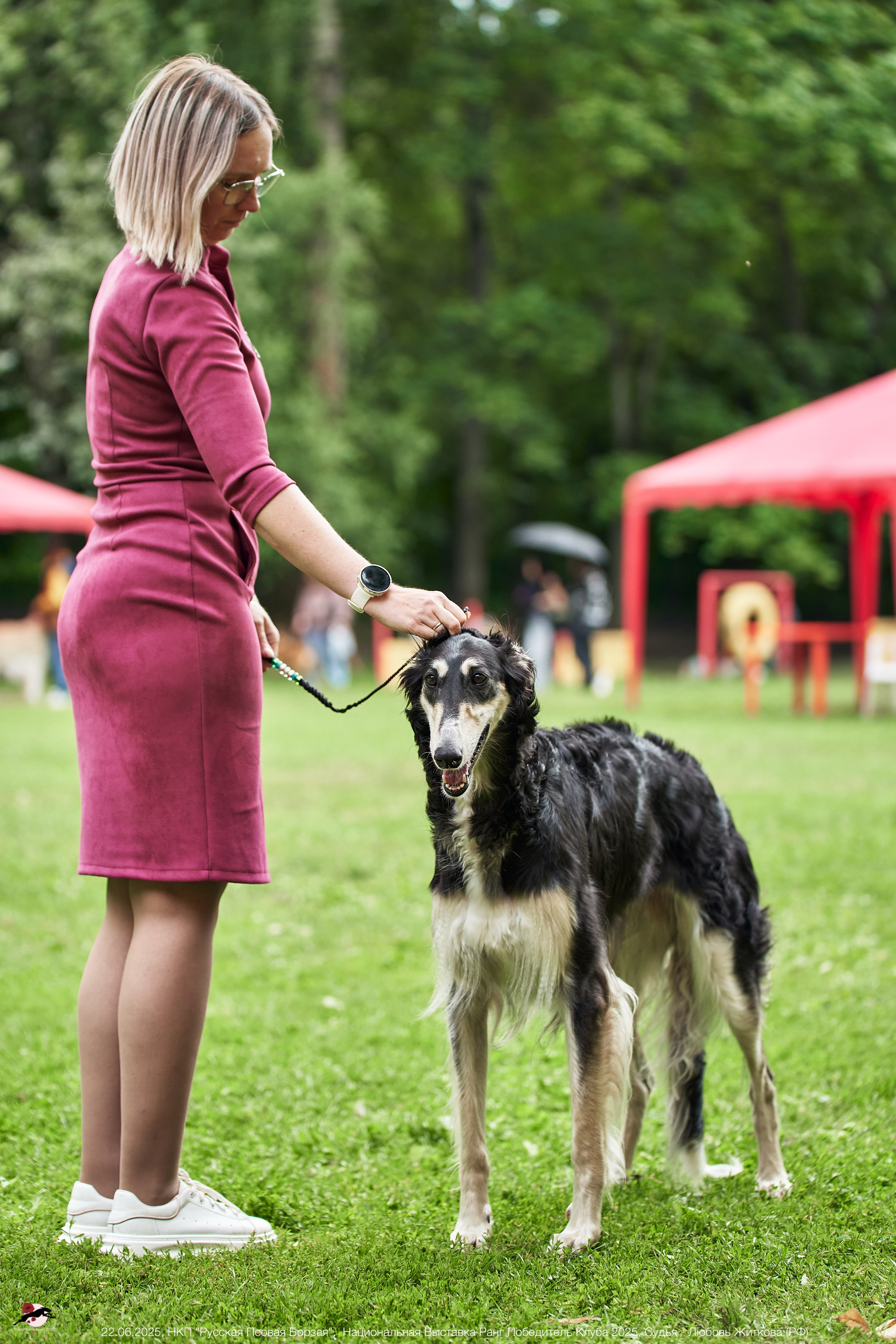 22.06.2025 | Национальная Выставка НКП "Русская Псовая Борзая"
