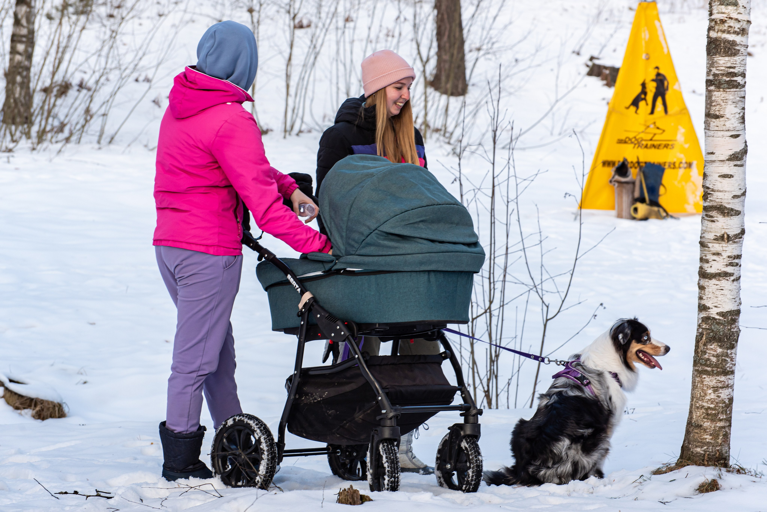 Фотосессии в кинологическом лагере. Фотограф Макс Огурцов в Нижнем Новгороде