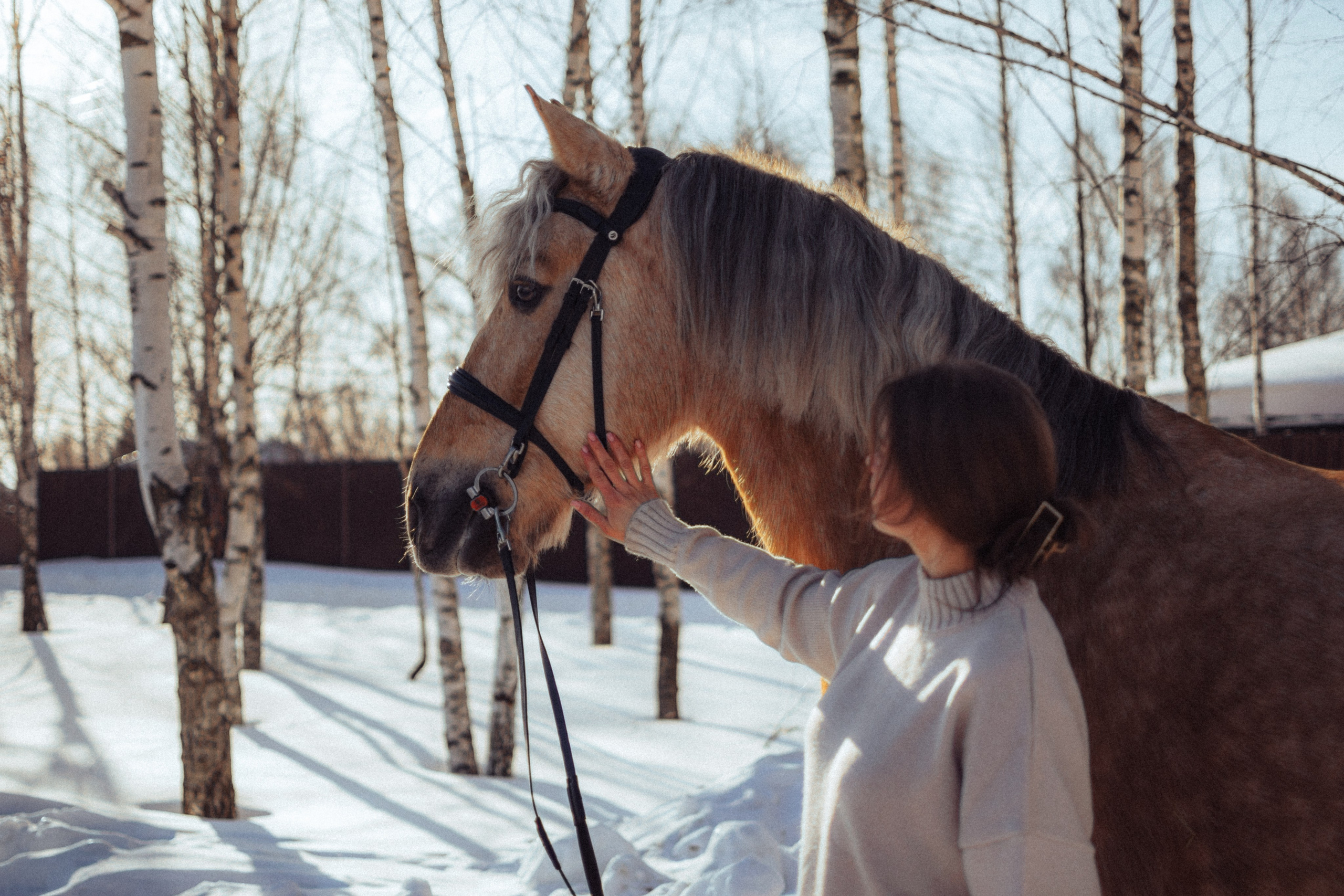 MariaGohri — Конный фотограф, анималист, Рязань