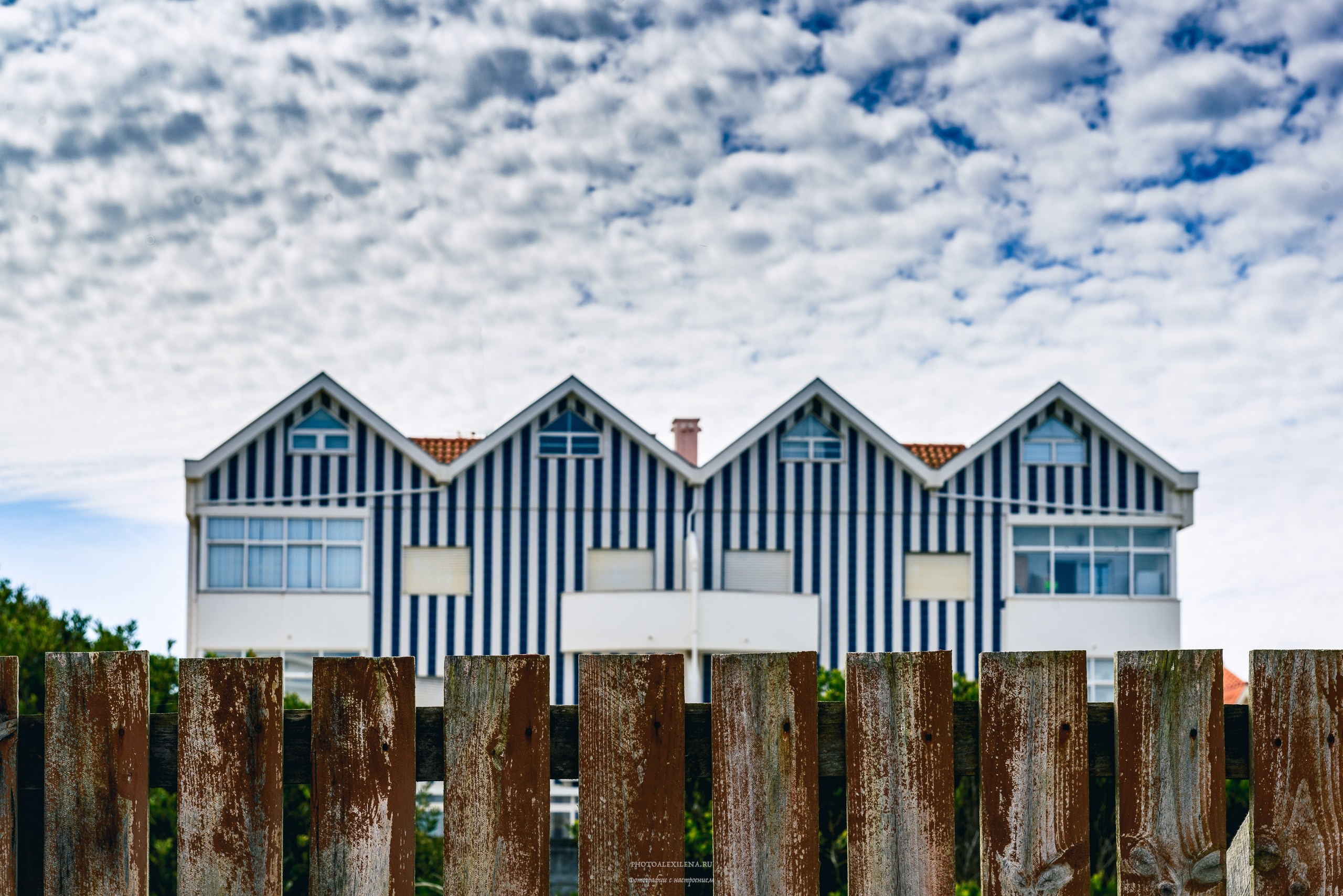 Жизнь в полосочку. Авторские стильные фотокартины