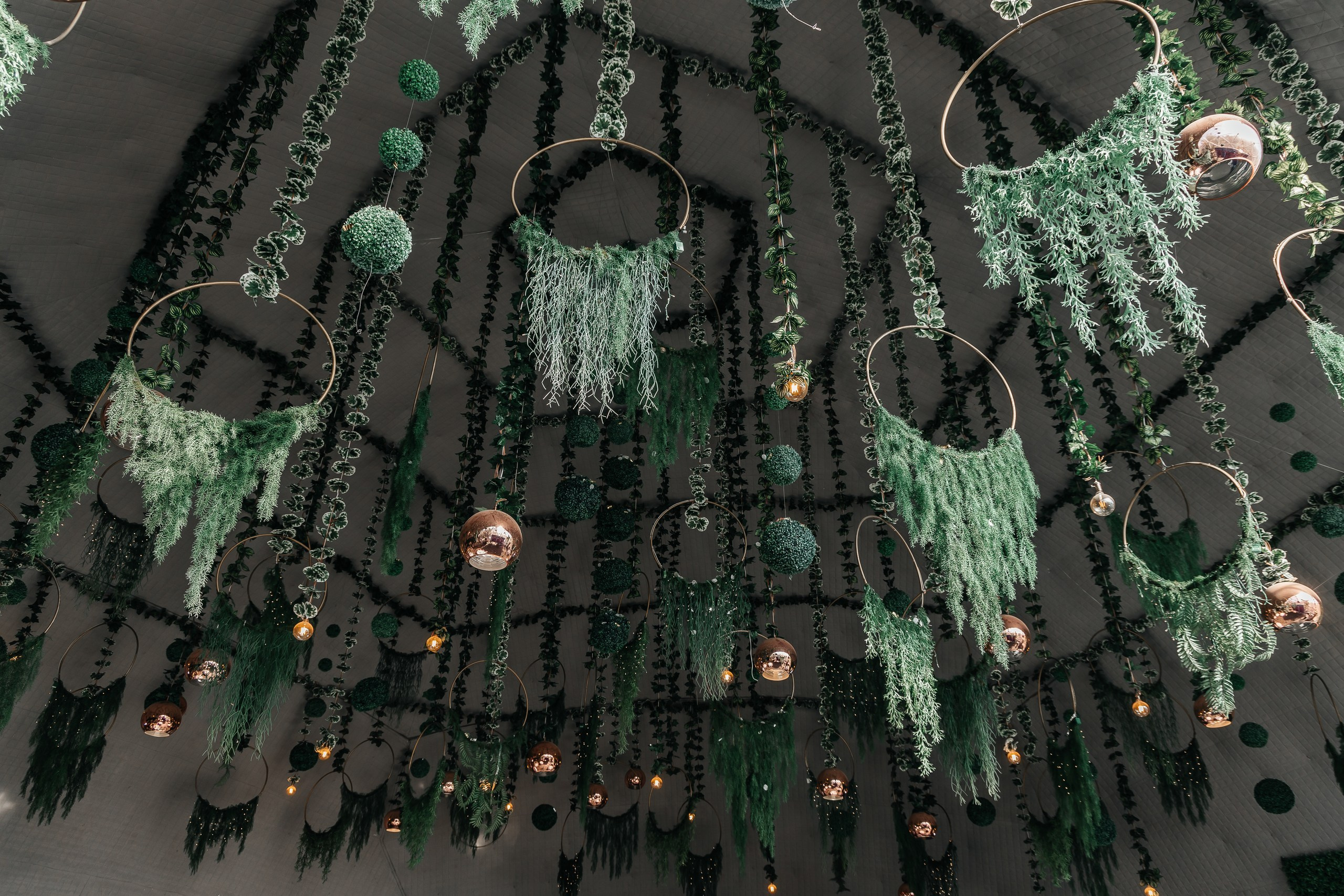 Графский парк