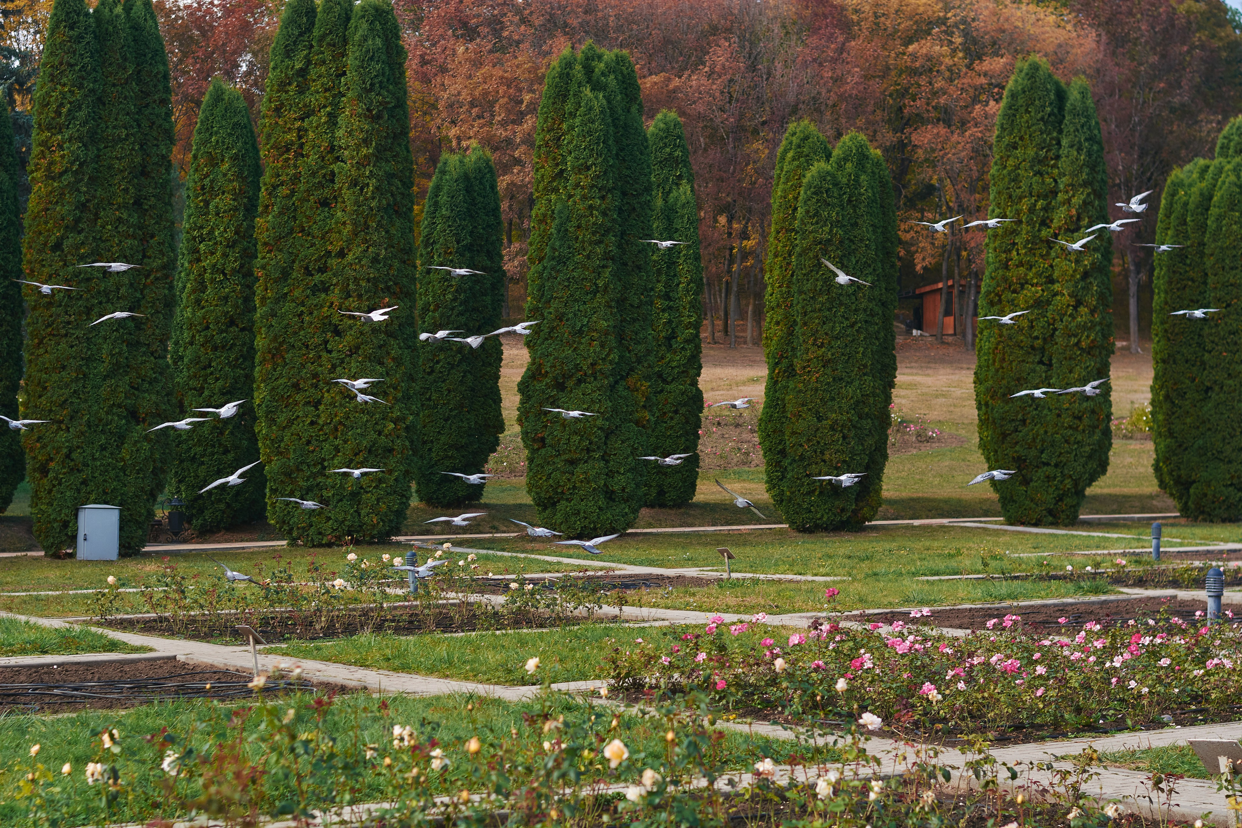 Константин Кордонский | Интерьерный и food-фотограф в Кисловодске и КМВ