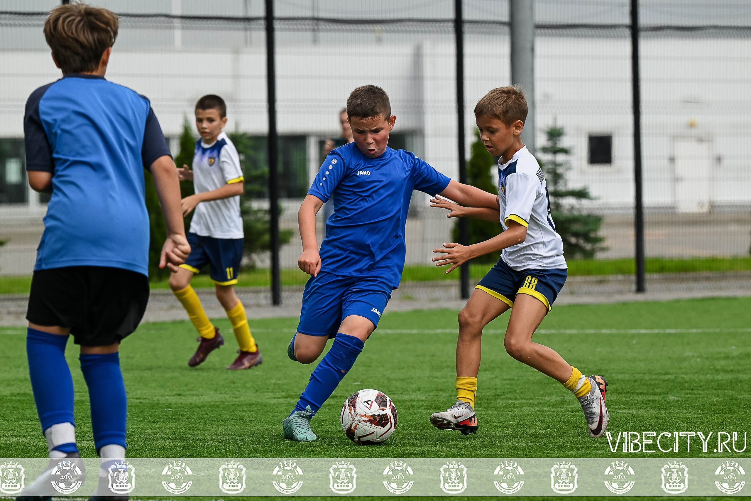 Калининградская Детская Футбольная Лига. VIBECITY.RU Вайб Сити Ру Фоторепортажи Фотоотчеты Калининград