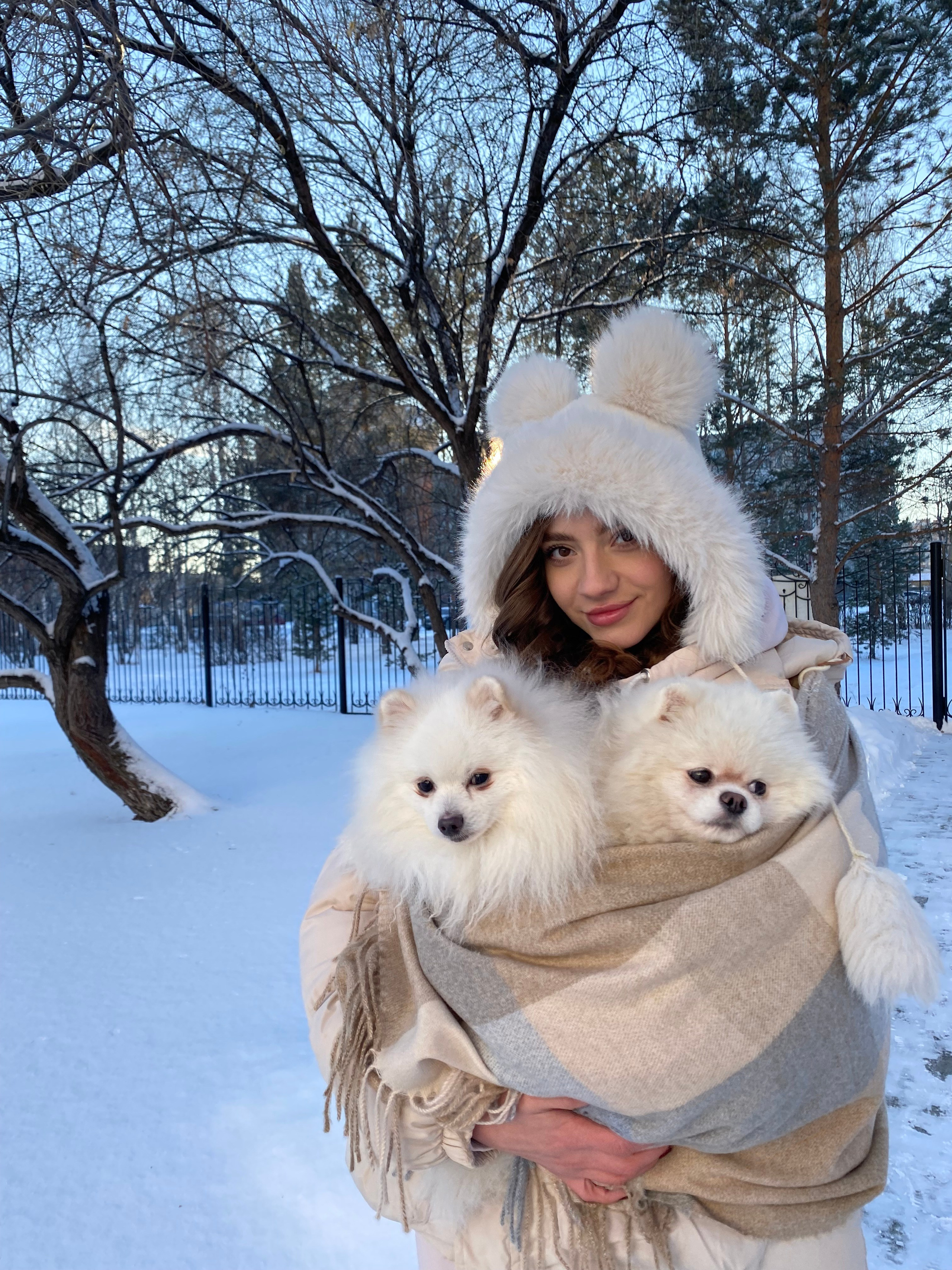 Юлия и шпицы